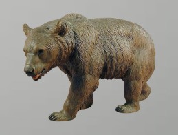 bear