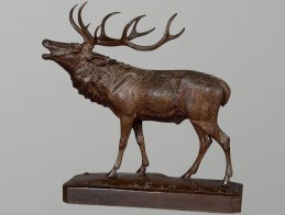 stag