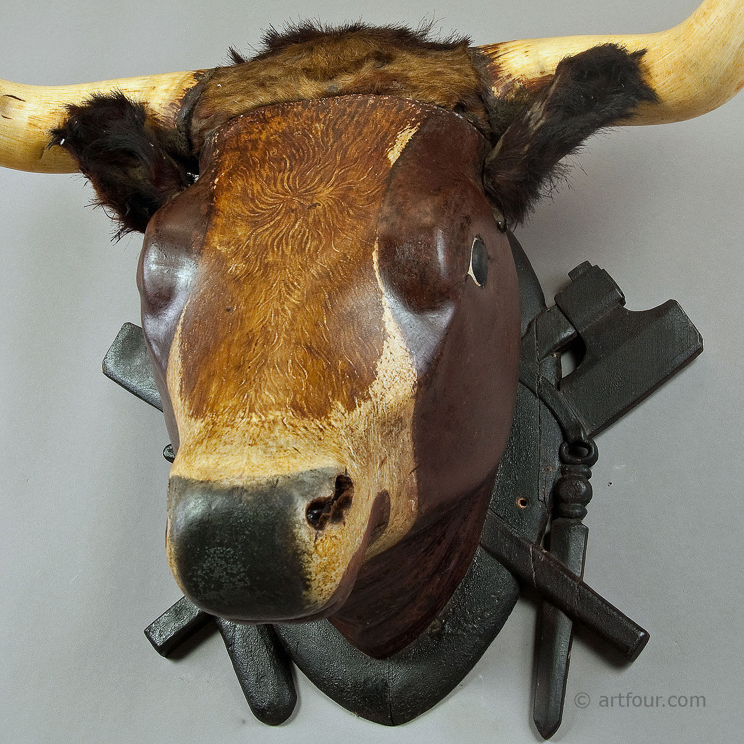 Very large Wooden Carved Bull Head from a Butchery ca. 1880