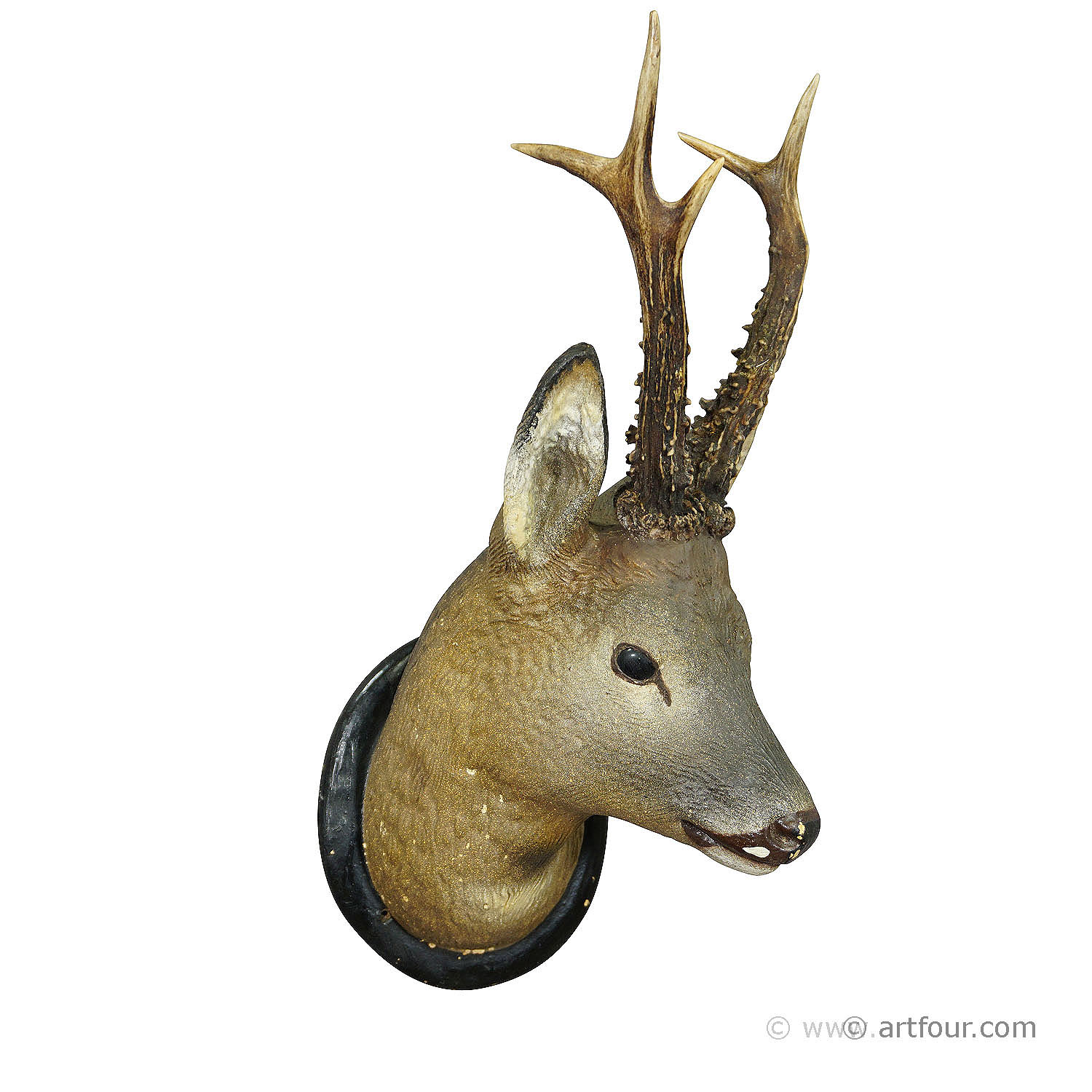 Antique Black Forest Clay Deer Head in Naturalistic Style, ca. 1910