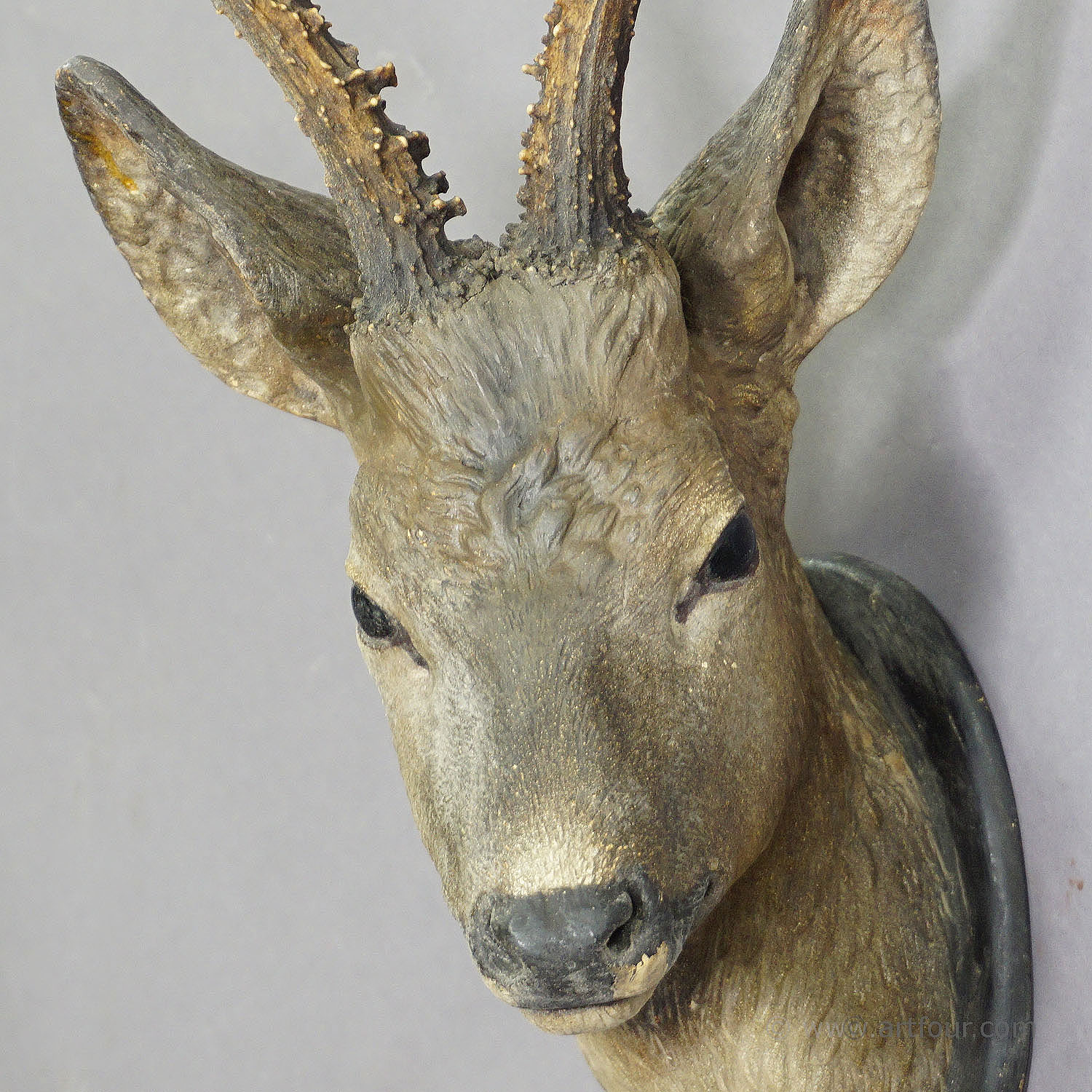 Naturalistic Black Forest Deer Head, Manufactured around 1910