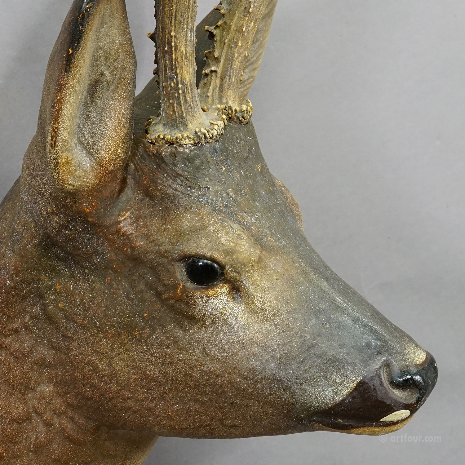 Large  Black Forest Deer Head made of Clay around 1910