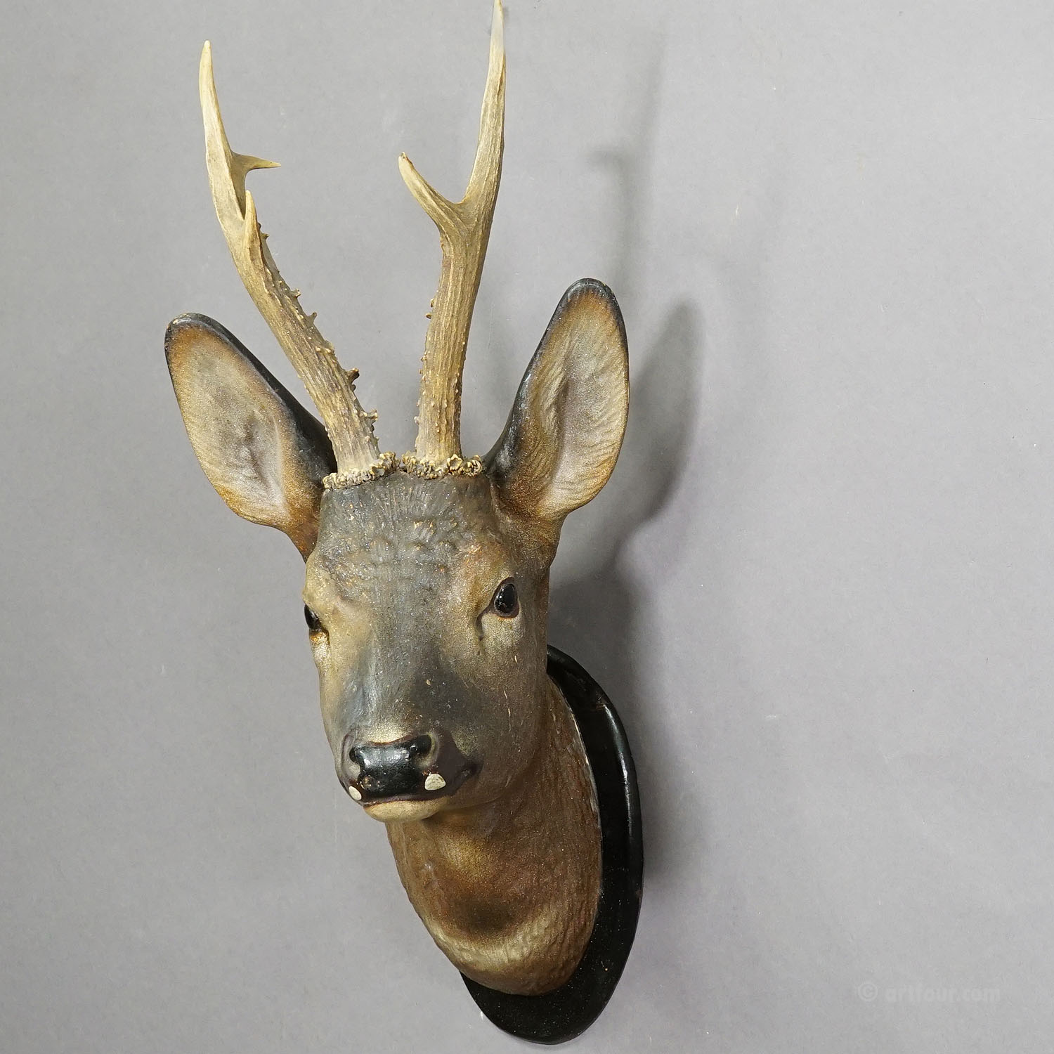 Large  Black Forest Deer Head made of Clay around 1910