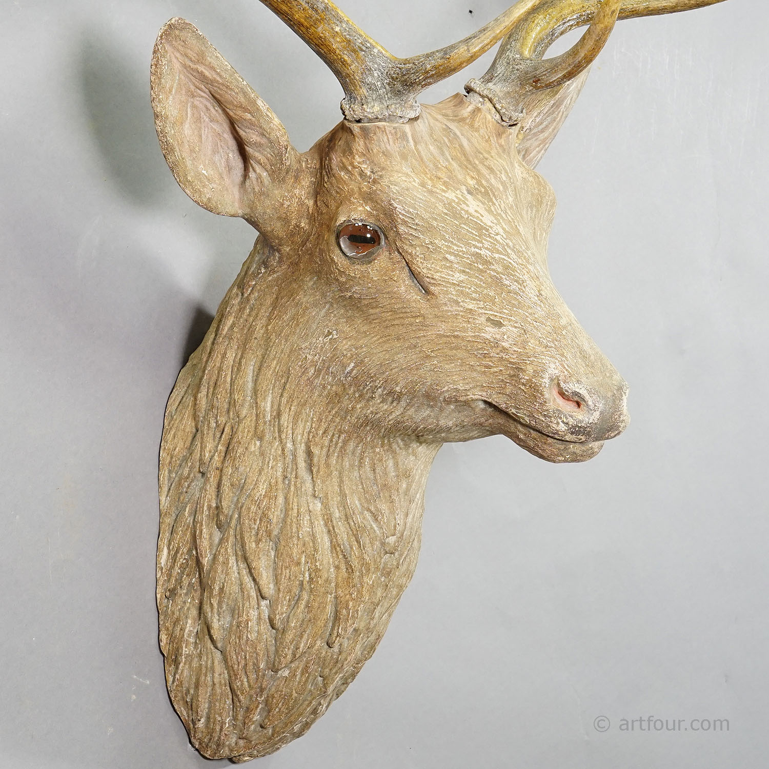 Naturalistic  Black Forest Carved Fallow Deer Head, ca. 1910