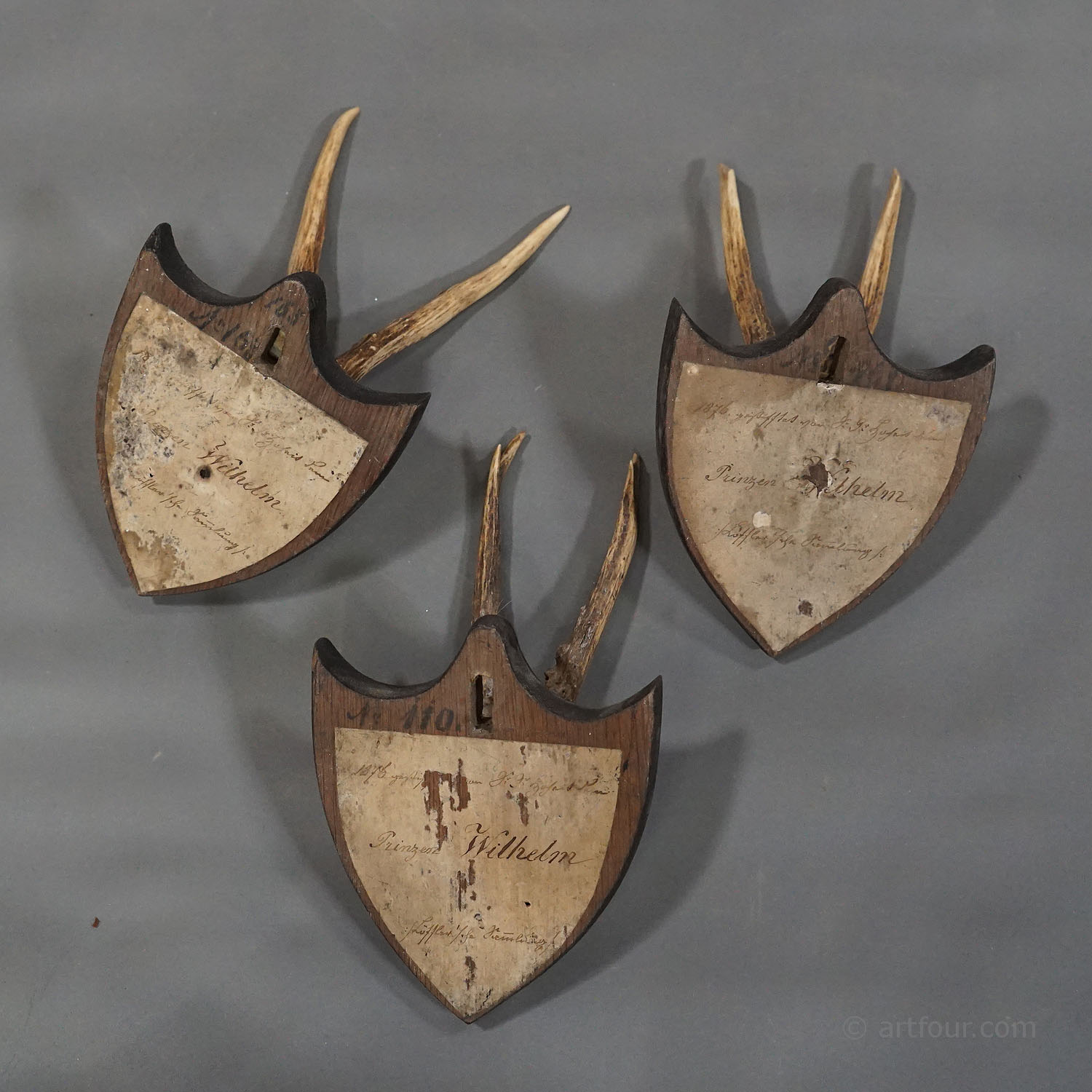 Six Antique Deer Trophies on Wooden Plaques Germany ca. 1870s