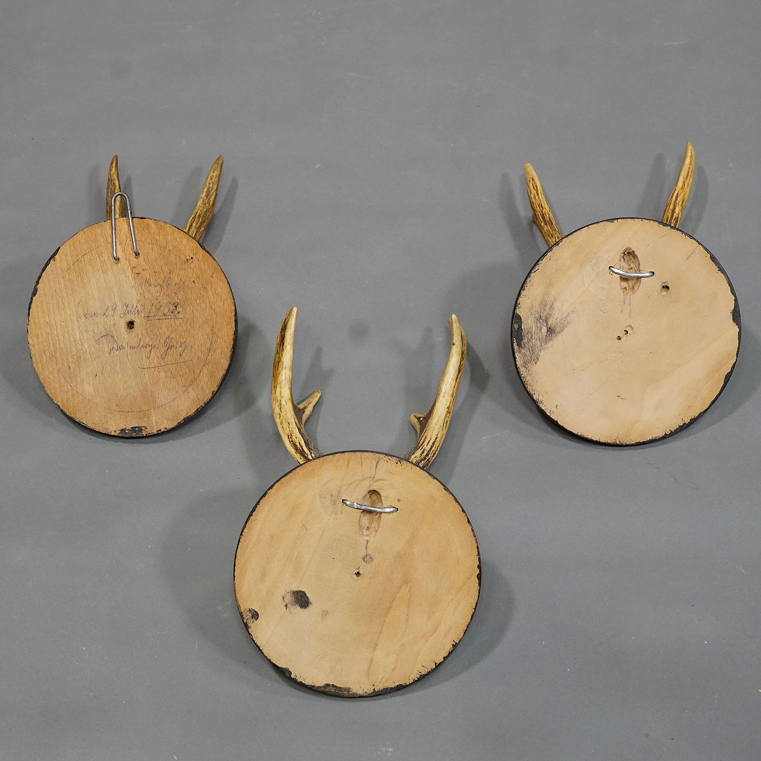 Six Antique Deer Trophies on Wooden Plaques Germany ca. 1930s
