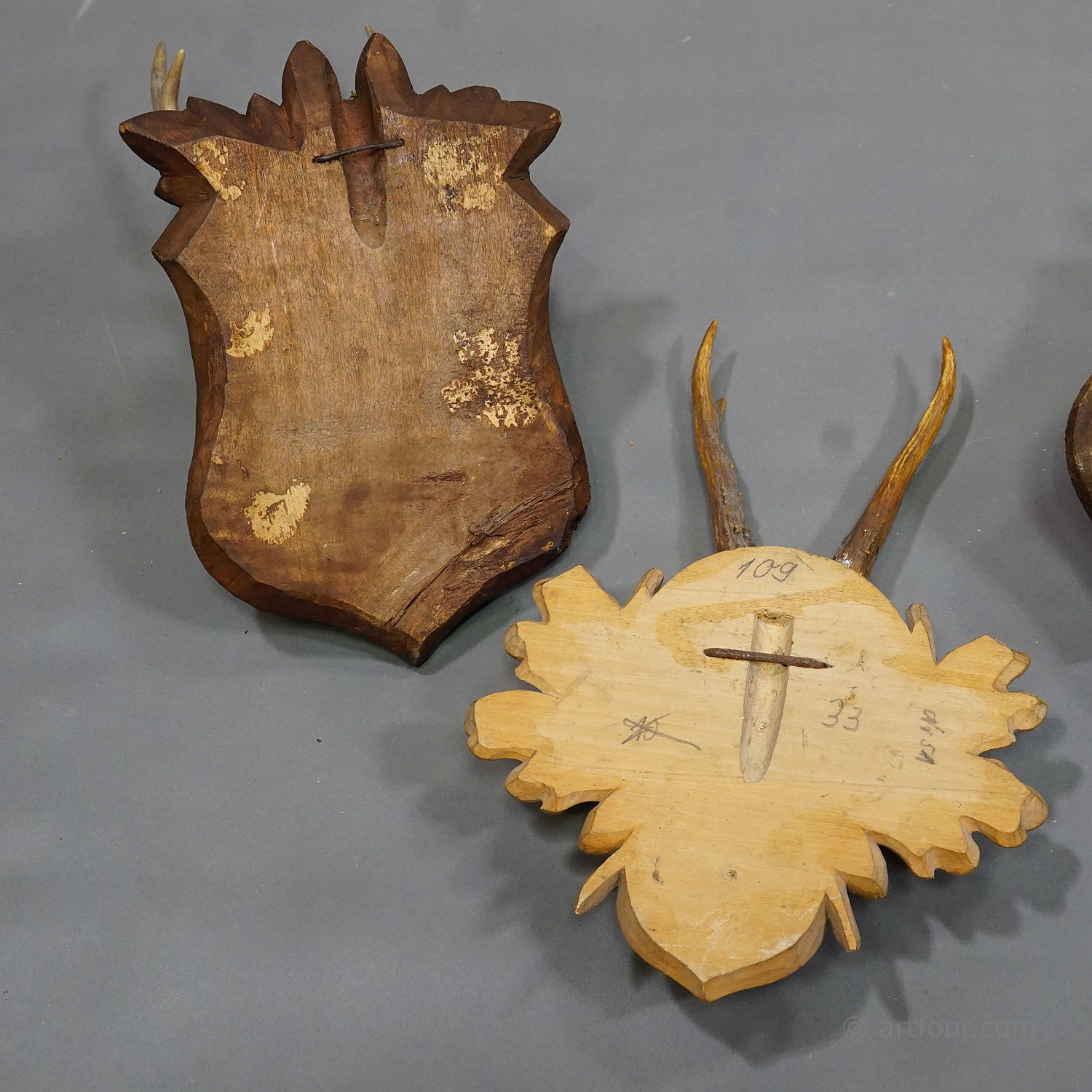 Six Antique Deer Trophies on Wooden Plaques Germany 1900s