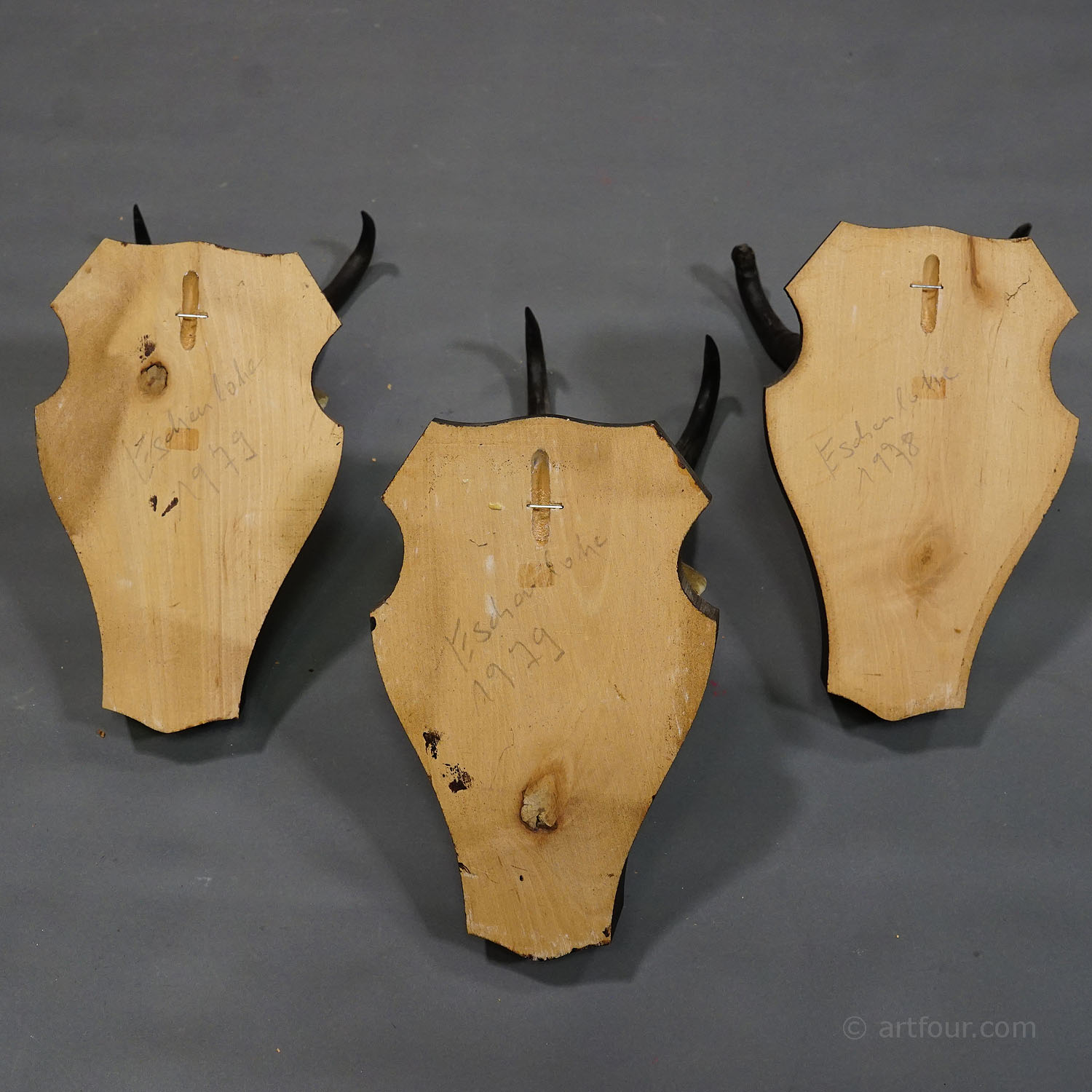 Set of three Vintage Chamois Trophies on Wooden Plaques, Germany ca. 1970s