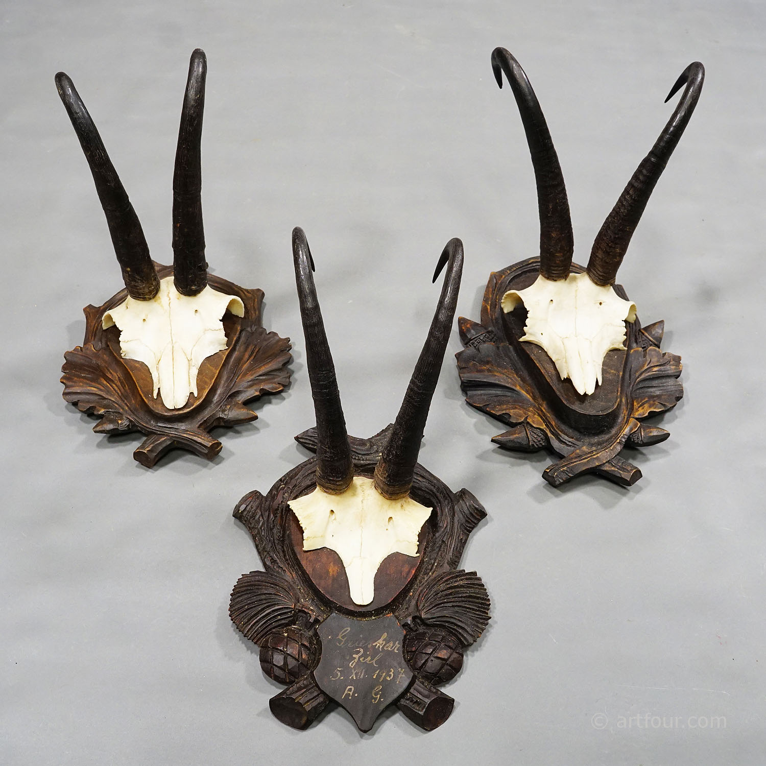 Six Antique Chamois Trophies on Wooden Carved Plaques Germany ca. 1930s