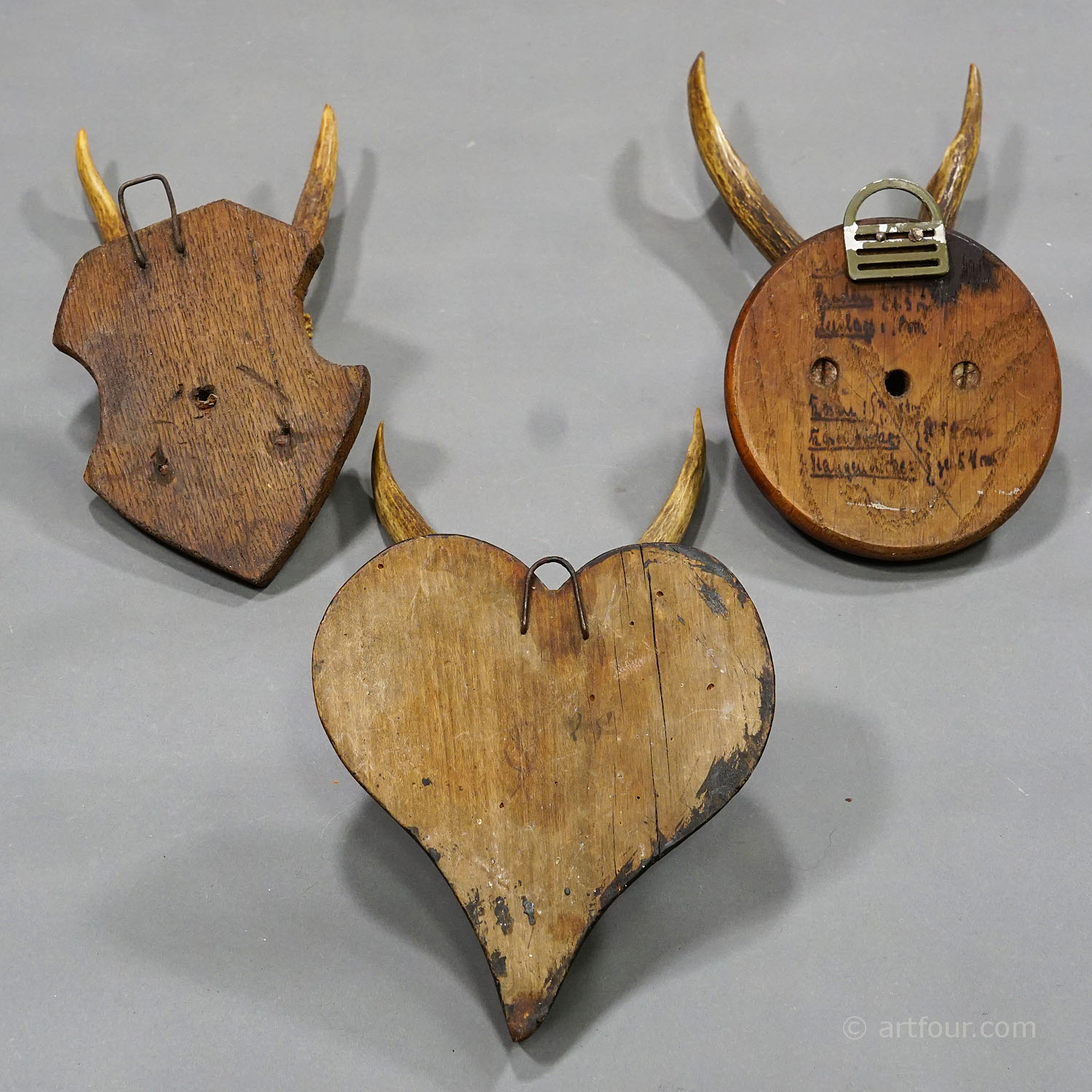 Six Antique Deer Trophies on Wooden Plaques Germany ca. 1910