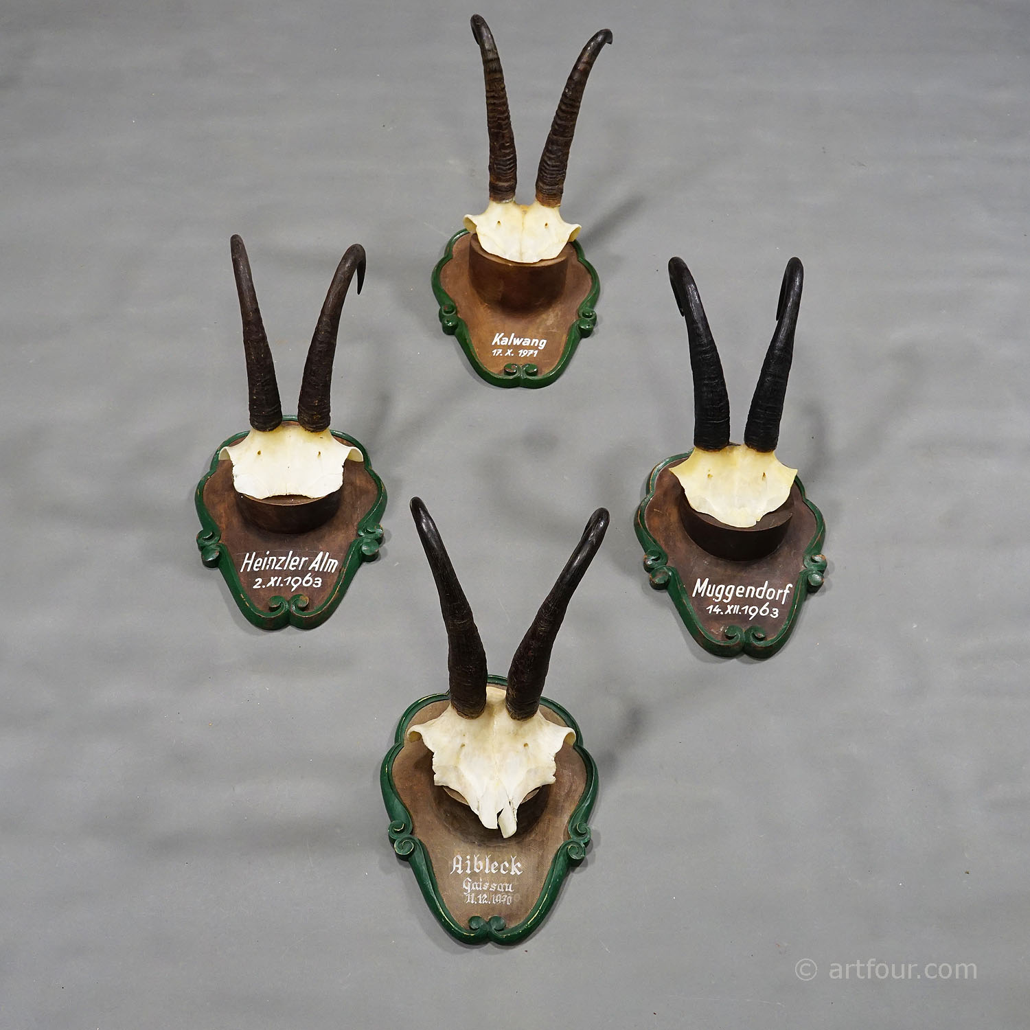 Set of Four Vintage Chamois Trophies on Wooden Carved Plaques, Germany 1960s-70s