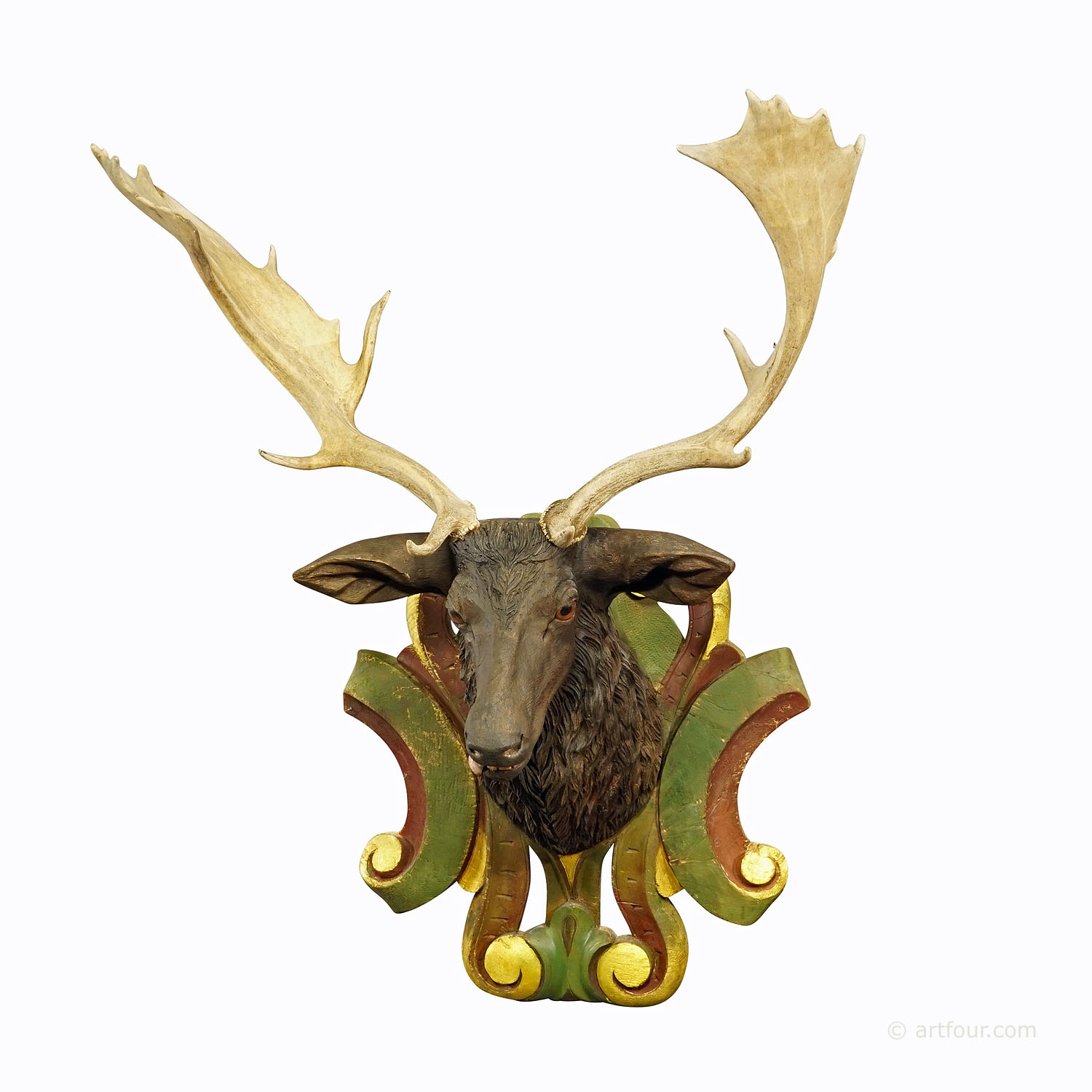 Huge Black Forest Carved Fallow Deer Head with Large Antlers ca. 1890
