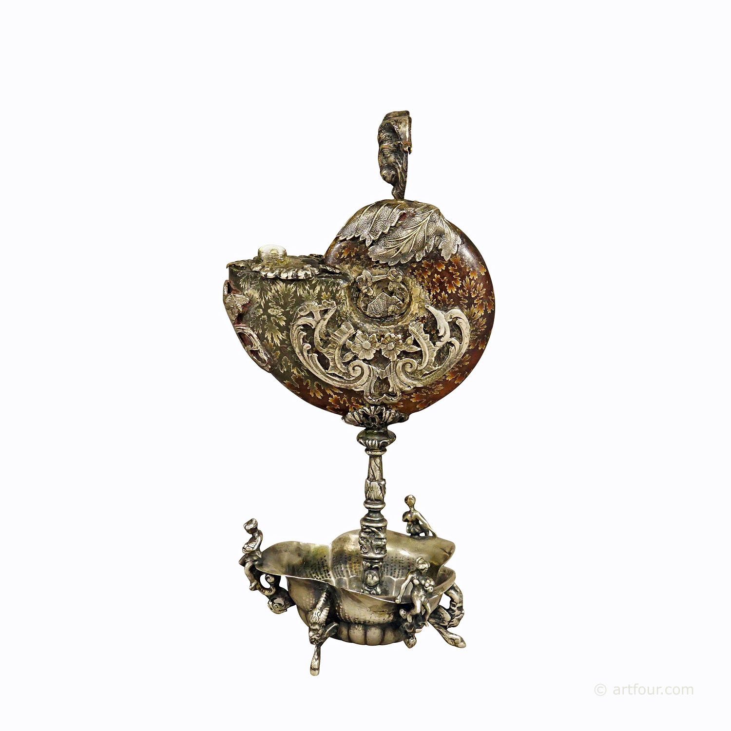 Antique Wunderkammer Installation of a Ammonite with Silver Mounting