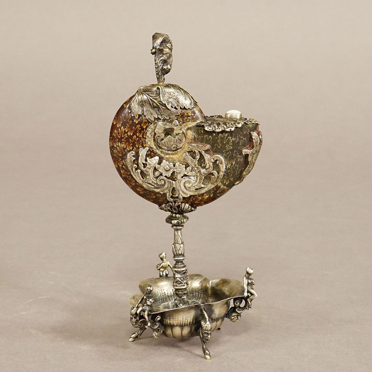 Antique Wunderkammer Installation of a Ammonite with Silver Mounting
