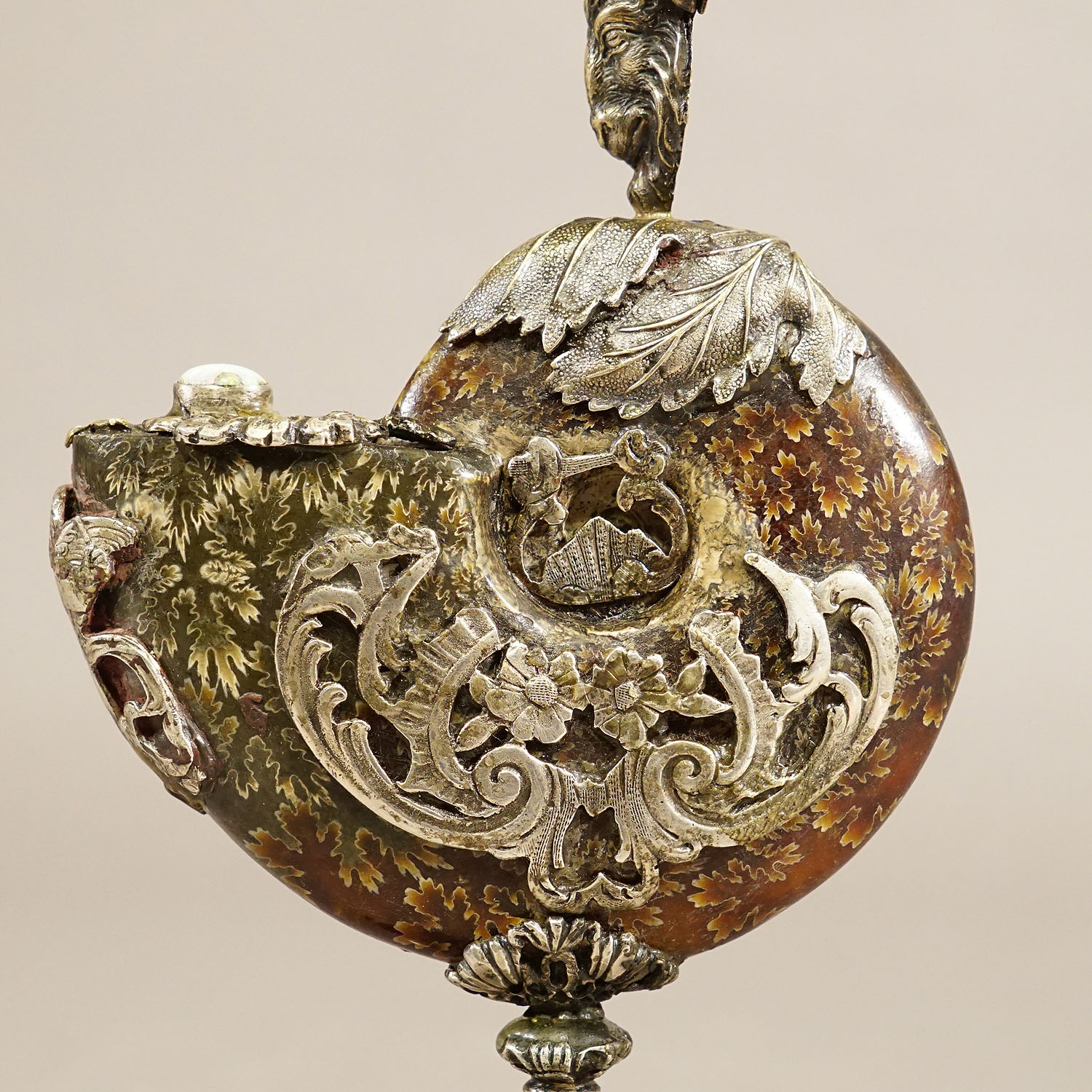 Antique Wunderkammer Installation of an Ammonite with Silver Mounting