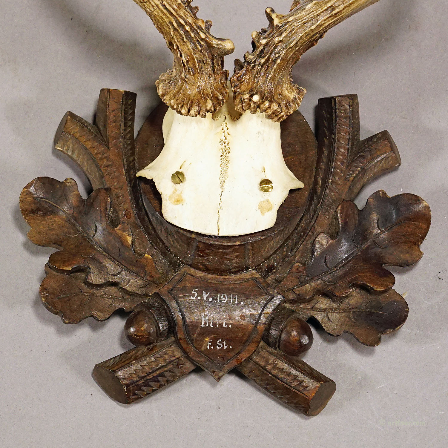 Great Roe Deer Trophy Mount on Wooden Carved Plaque 1911