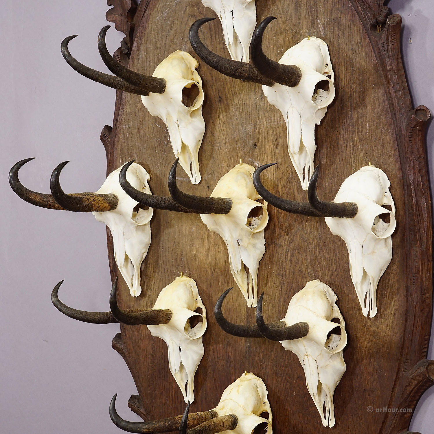 Large Wooden Carved Plaque with Chamois Trophies, Germany 1900