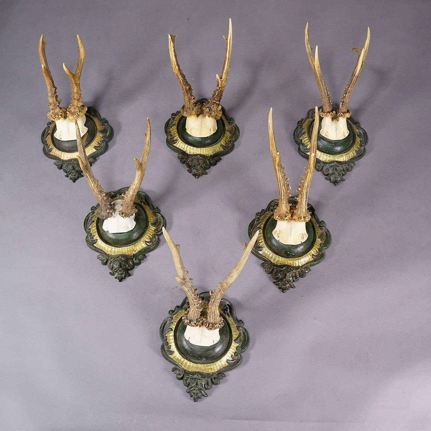 Six Large Vintage Roe Deer Trophies on Plaster Plaques Germany ca. 1960s