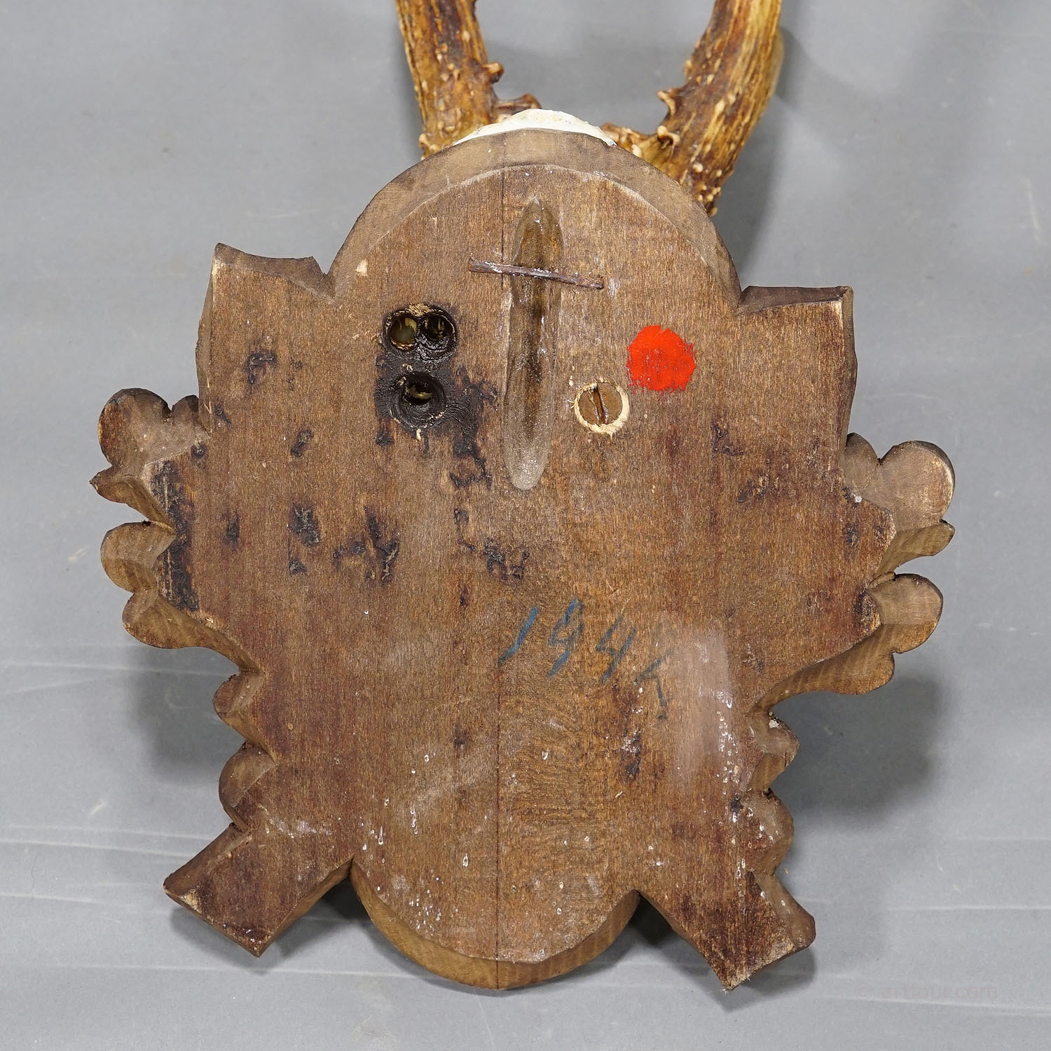 Black Forest Vintage Roe Deer Trophy on Carved Plaque 1942