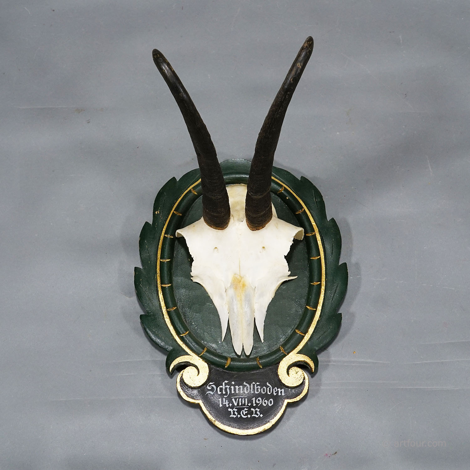 1960s Black Forest Chamois Trophy on Carved and Painted Plaque