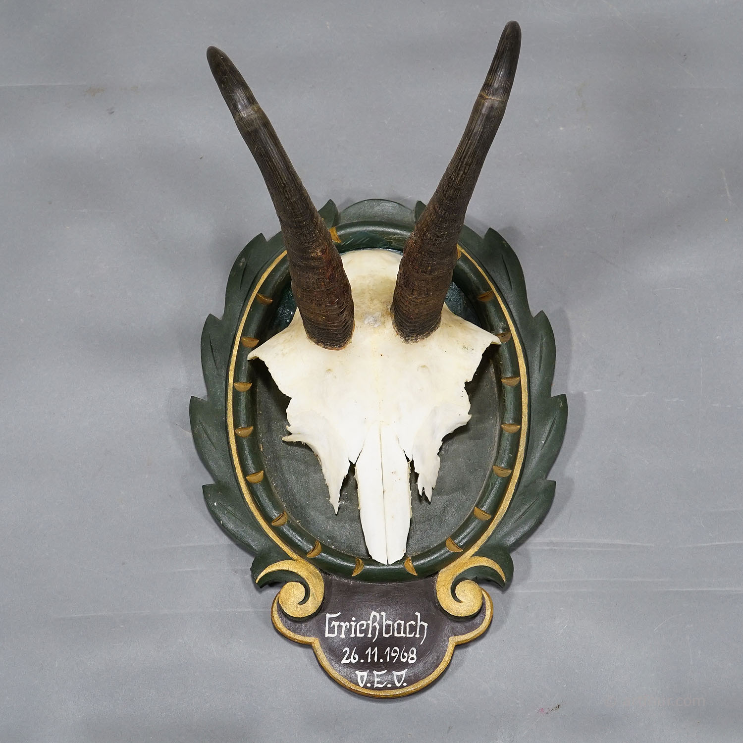 Vintage Black Forest Chamois Trophy on Carved Plaque 1968