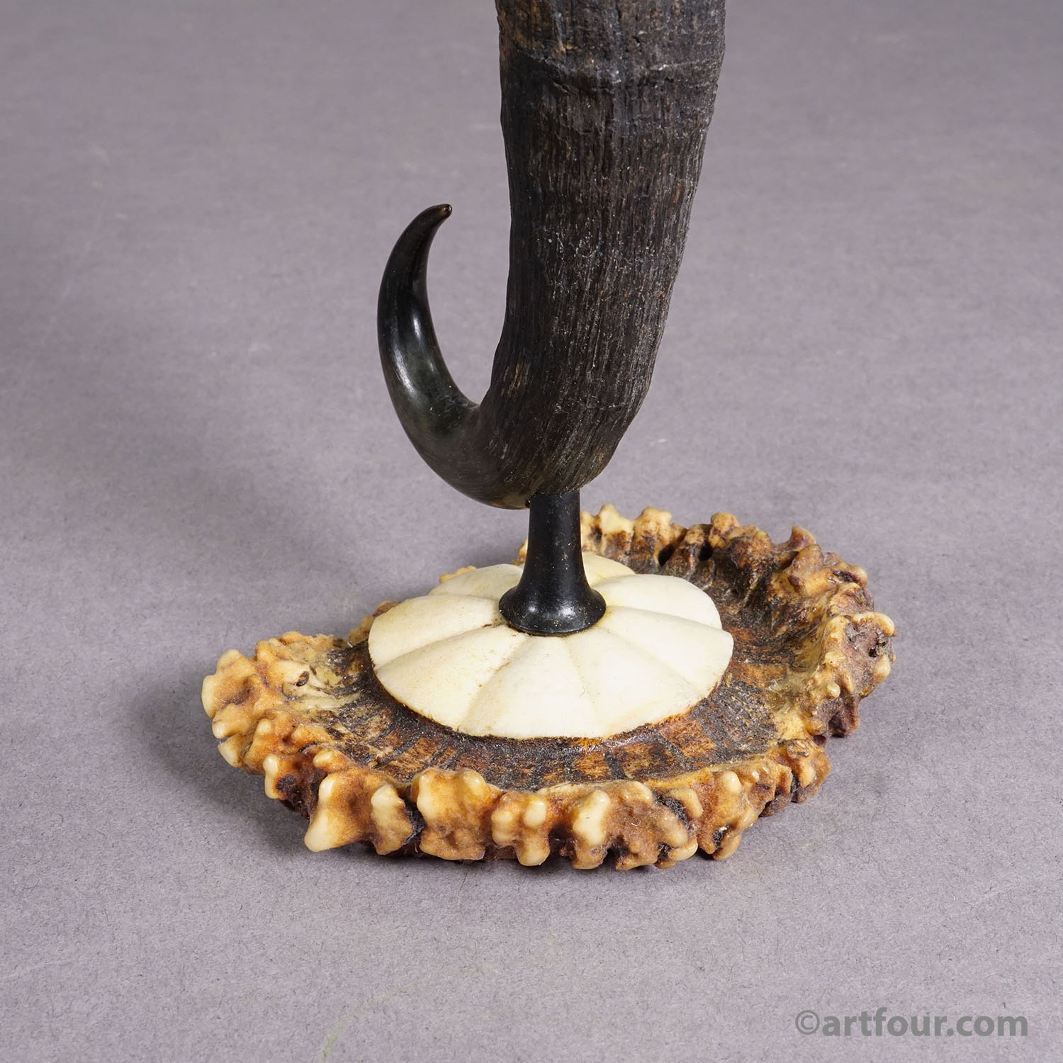 Antique Candle Stick With Real Chamois Horn, circa 1900s