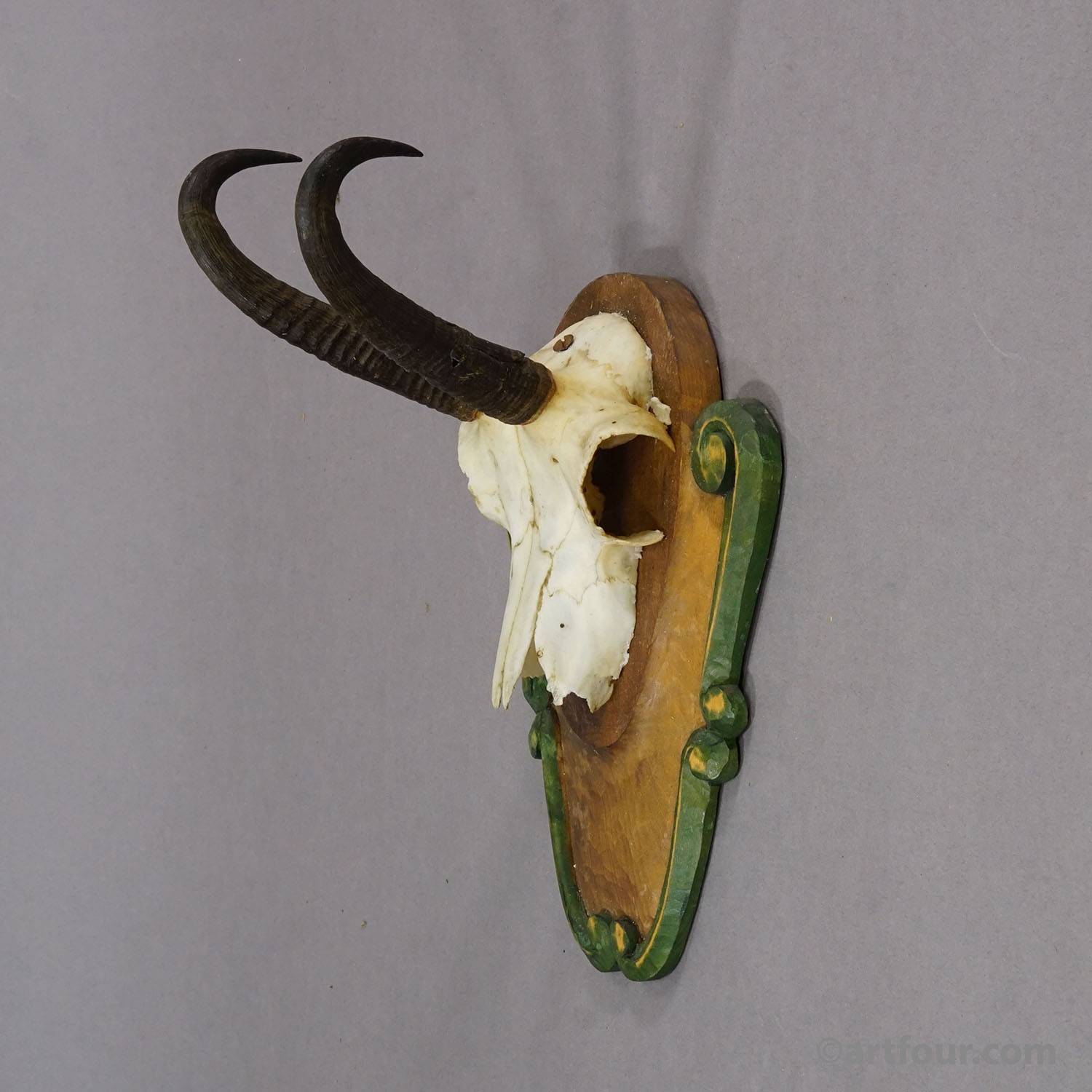 Vintage Black Forest Chamois Trophy on Carved Plaque ca. 1950