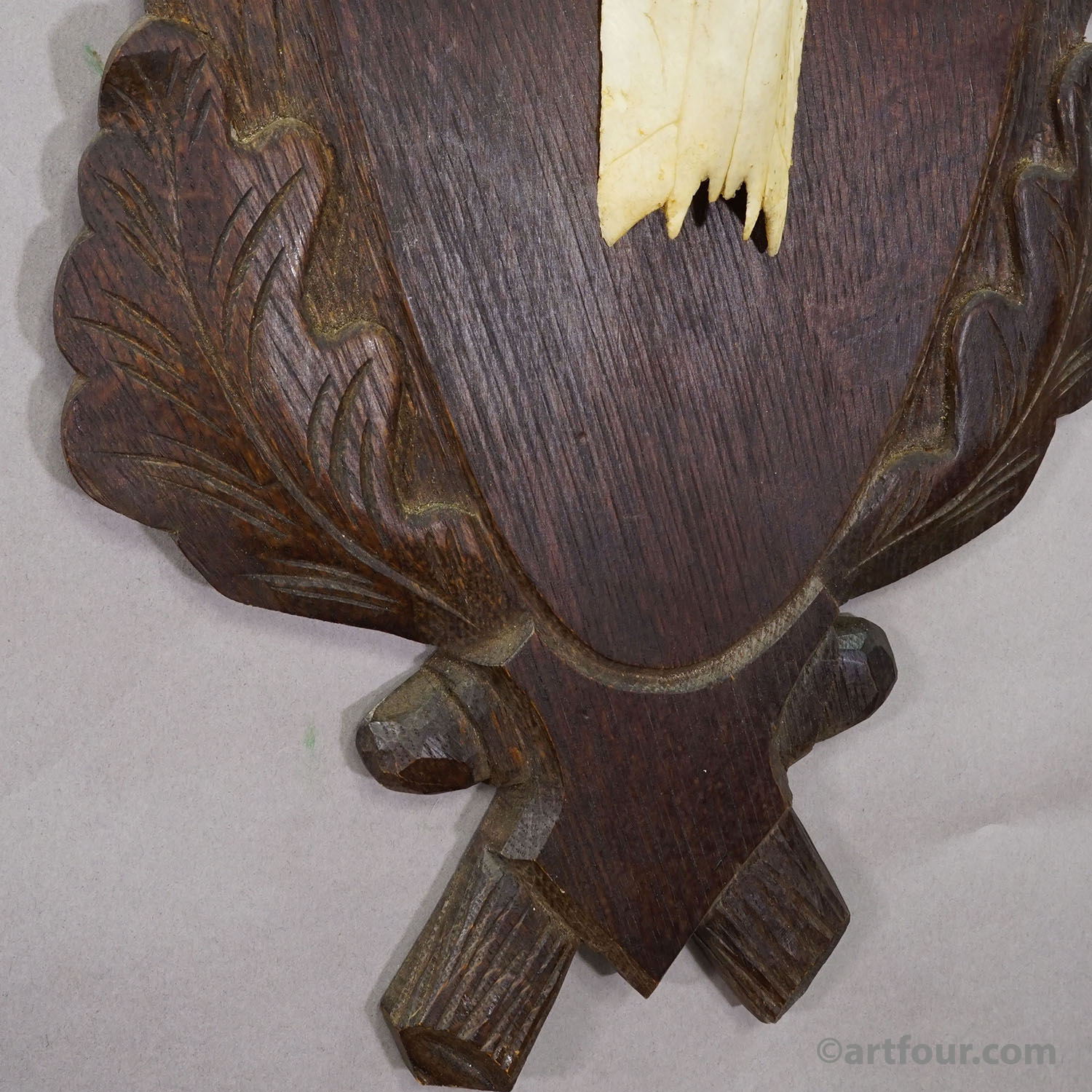 Large Black Forest Red Deer Trophy on Carved Plaque - Germany ca. 1935