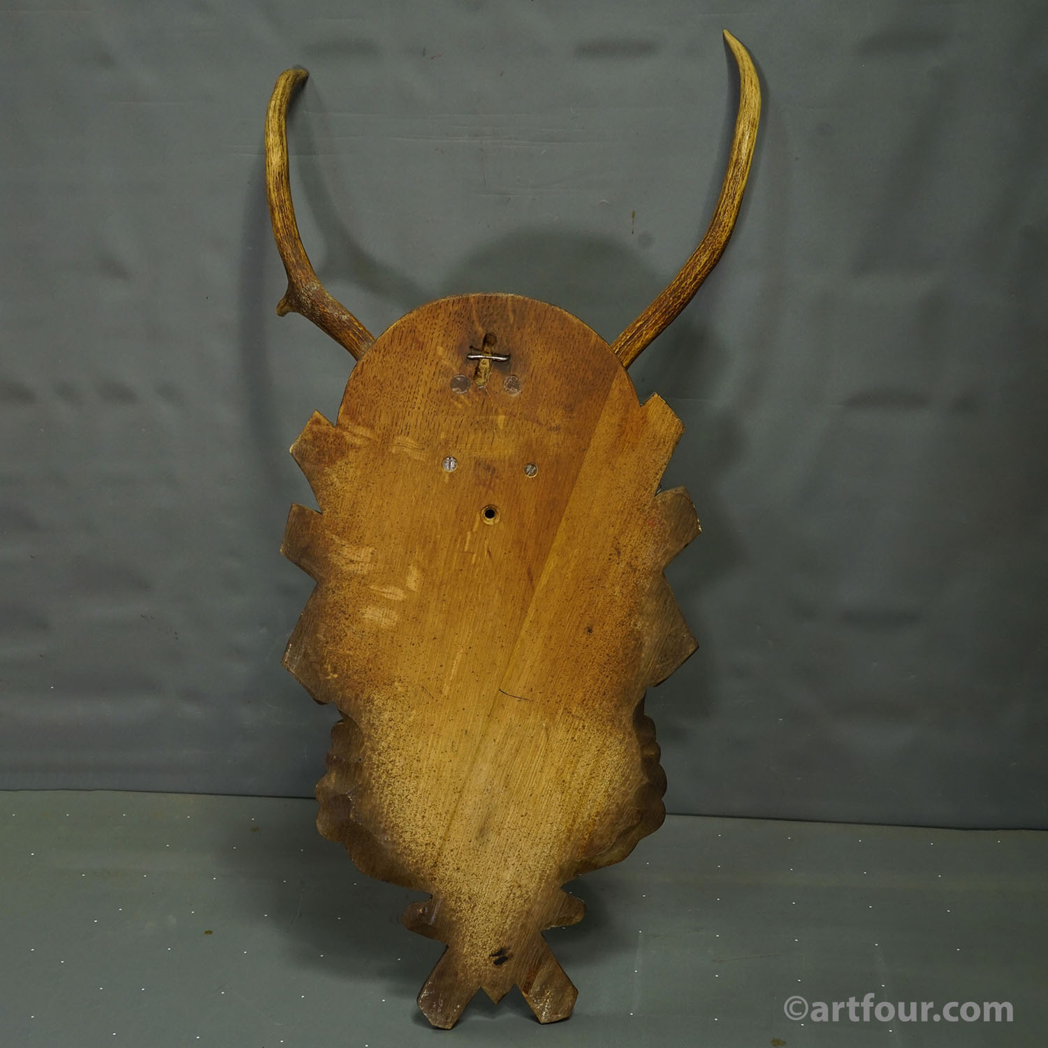 Large Black Forest Red Deer Trophy on Carved Plaque - Germany ca. 1935