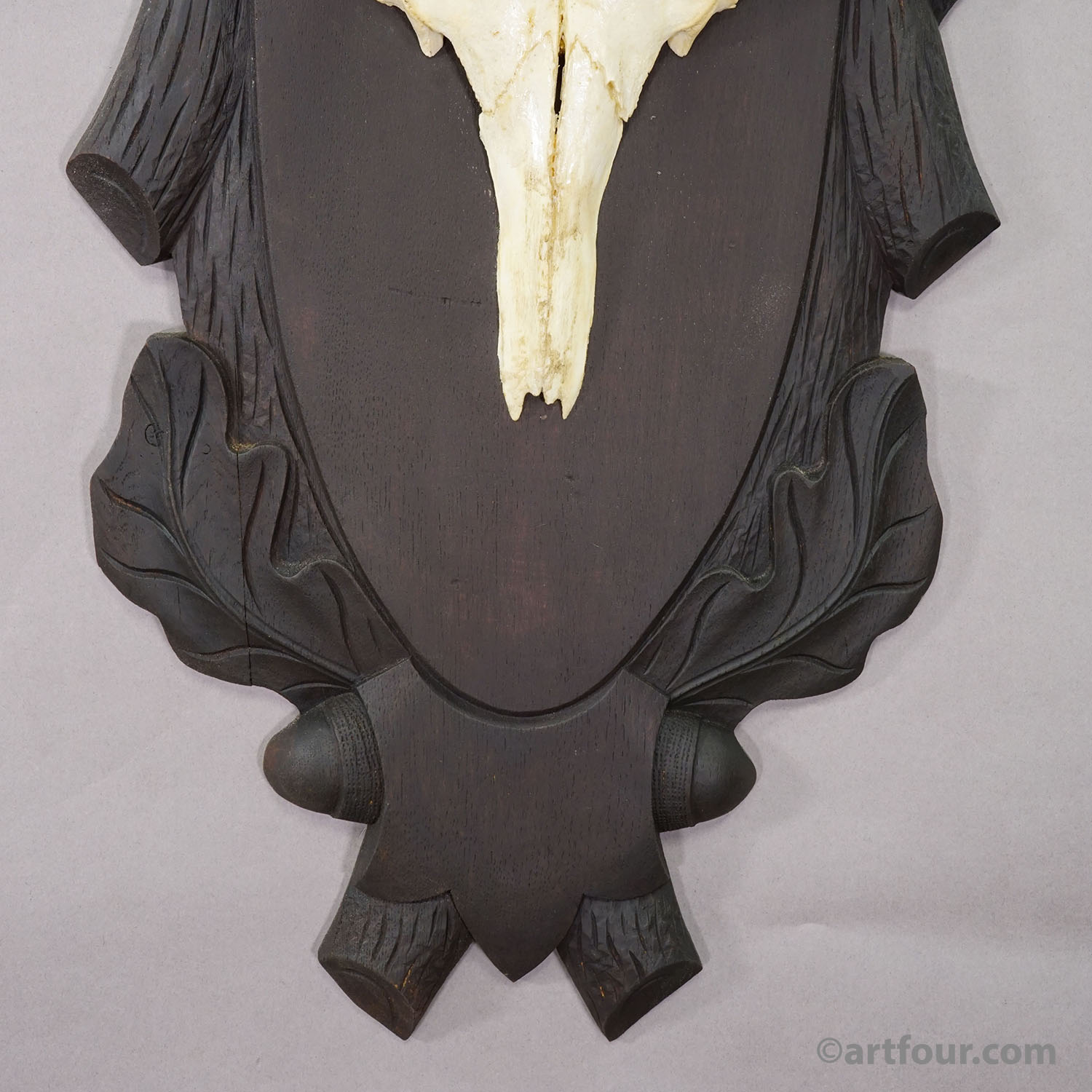 Large Black Forest 8 Pointer Red Deer Trophy on Carved Plaque - Germany ca. 1940s