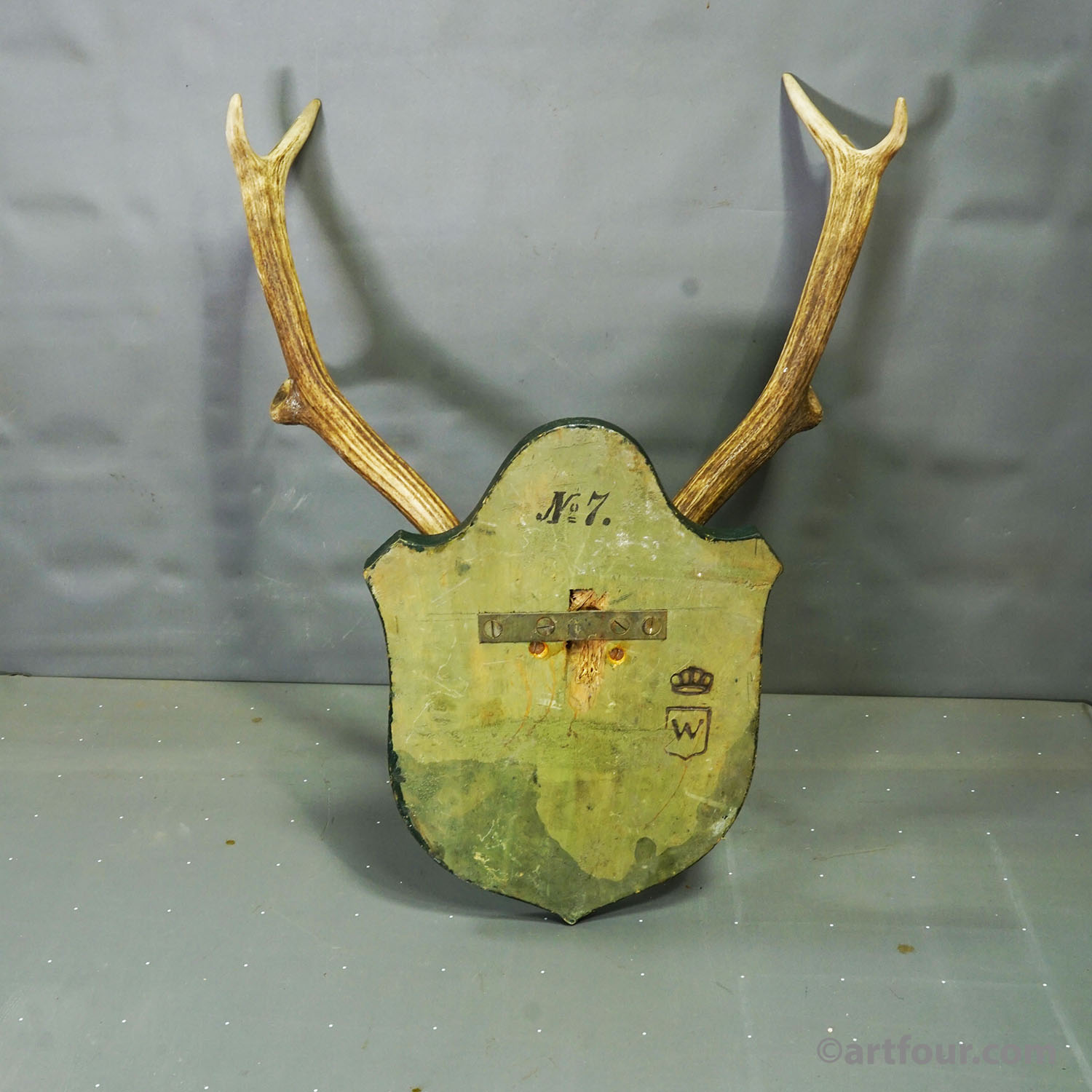 Large Black Forest Red Deer Trophy on Carved Plaque - Germany 1920