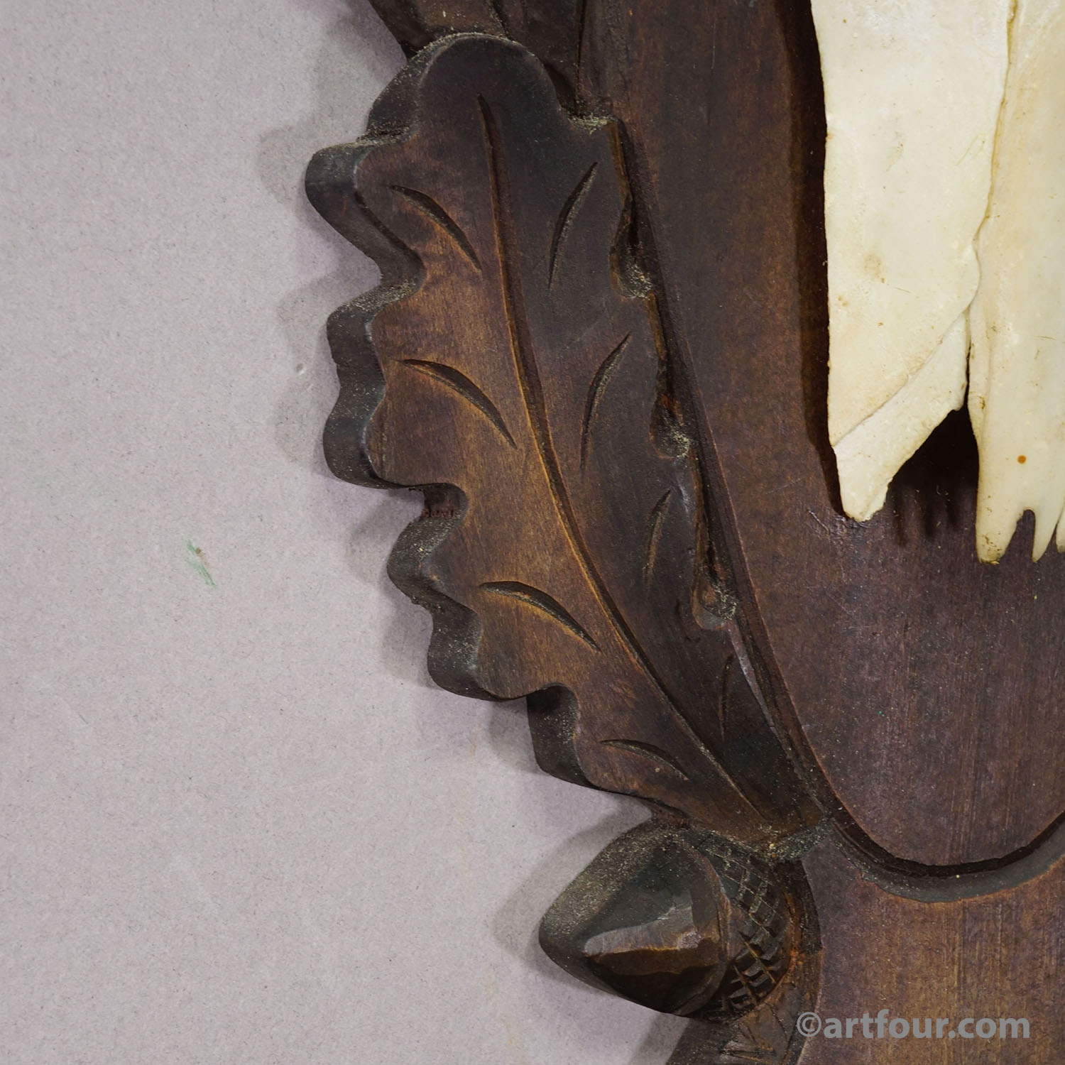 Large Black Forest Red Deer Trophy on Carved Plaque - Germany 1930