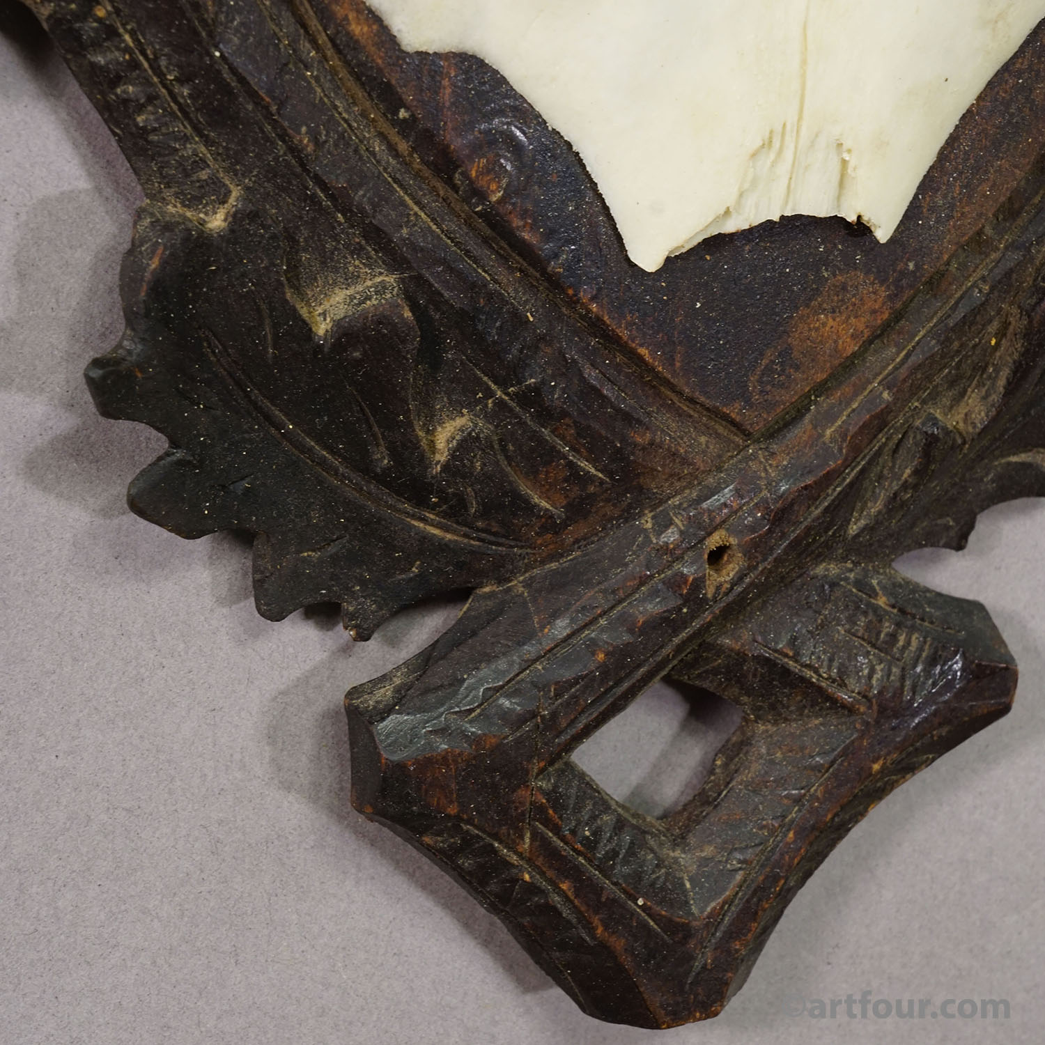 Antique Black Forest Red Deer Trophy on Carved Plaque - Germany 1900