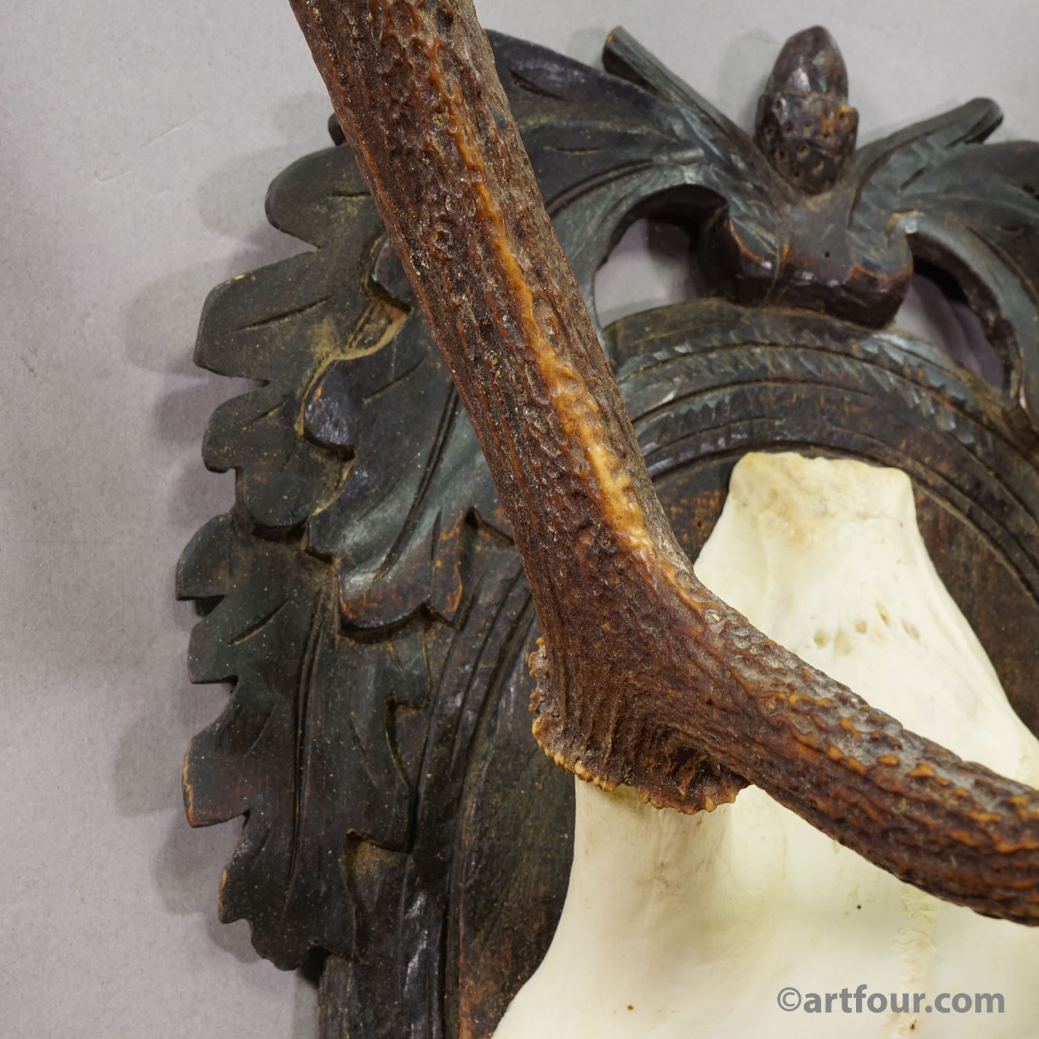 Antique Black Forest Red Deer Trophy on Carved Plaque - Germany 1900