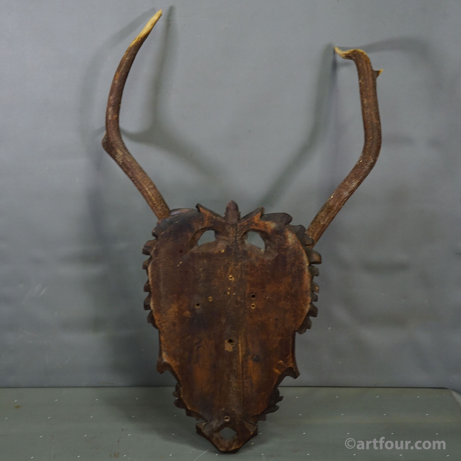 Antique Black Forest Red Deer Trophy on Carved Plaque - Germany 1900