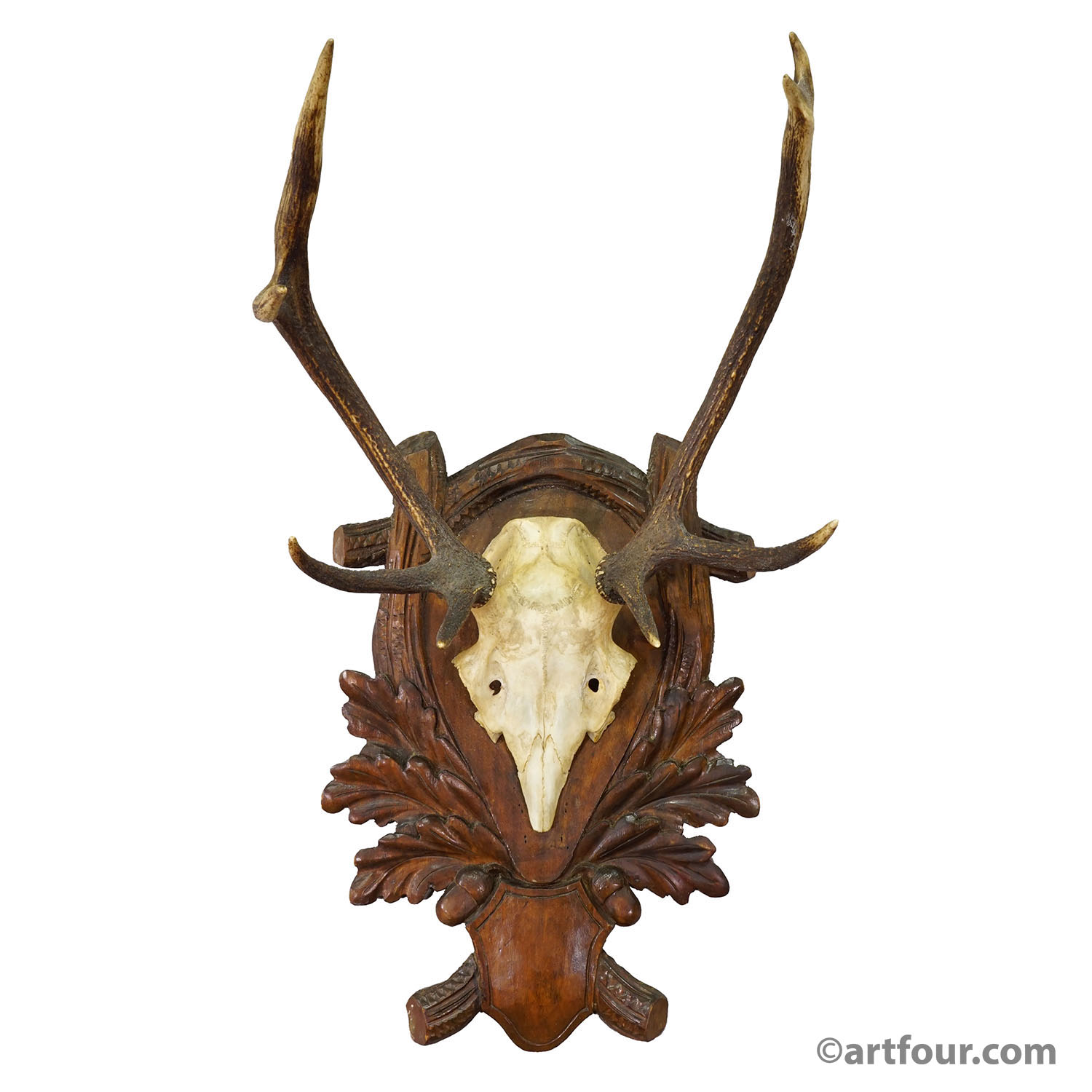 Antique Black Forest Red Deer Trophy on Carved Plaque - Germany 1930s