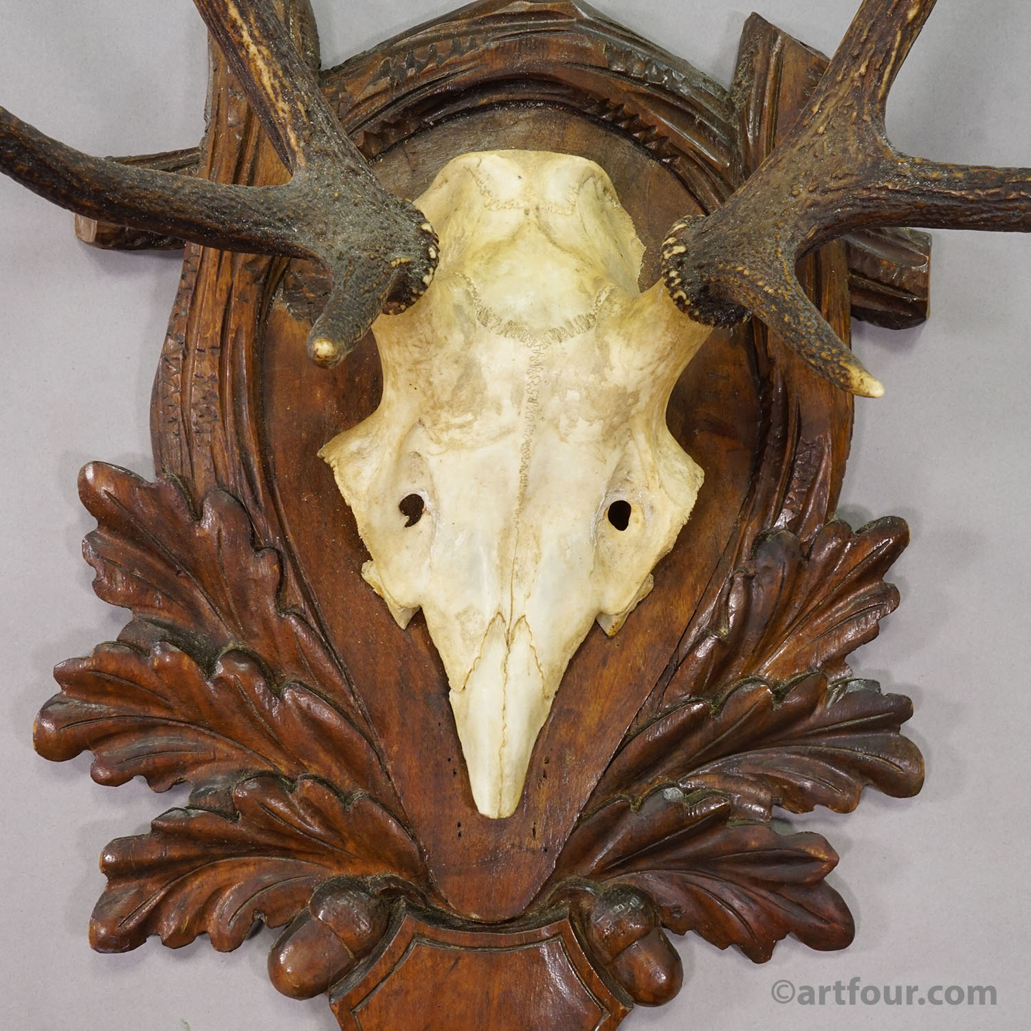 Antique Black Forest Red Deer Trophy on Carved Plaque - Germany 1930s