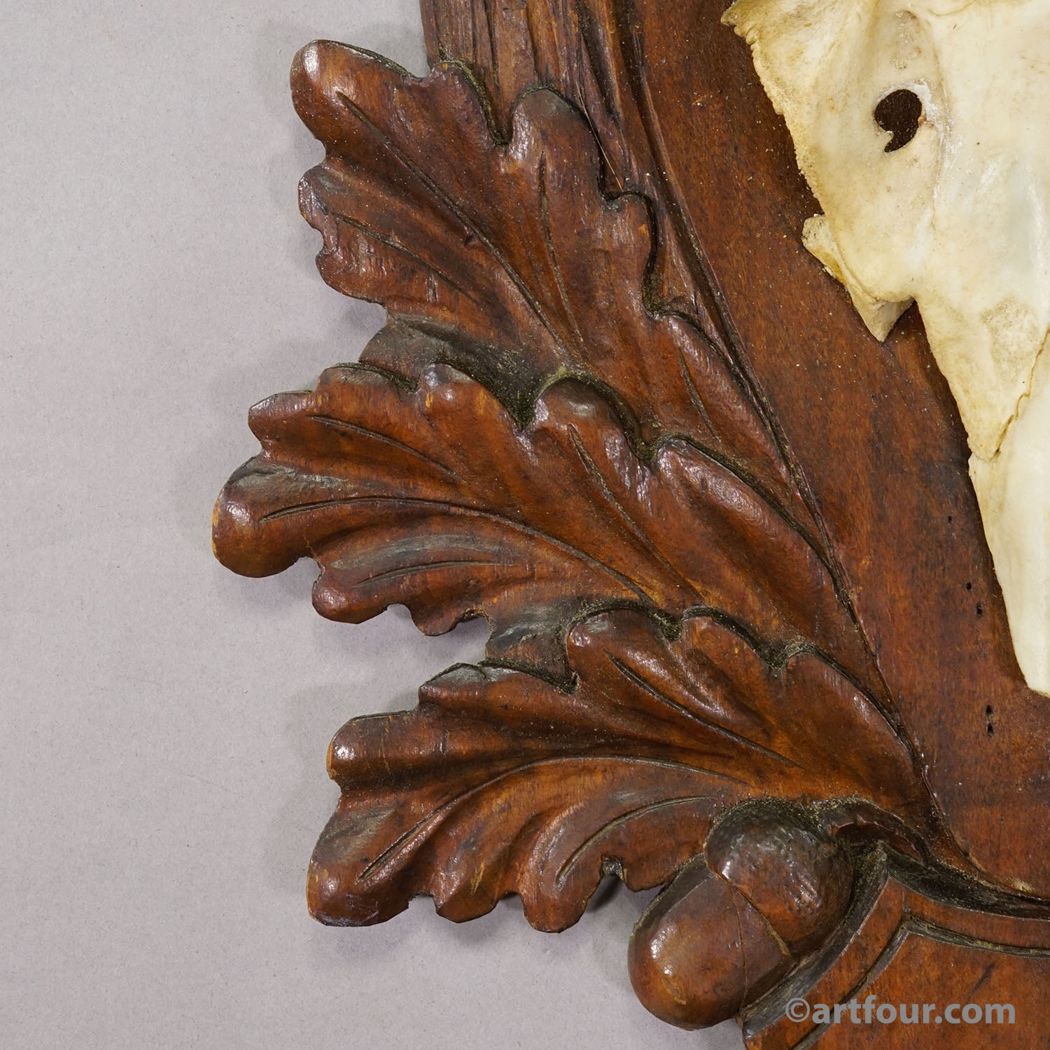 Antique Black Forest Red Deer Trophy on Carved Plaque - Germany 1930s