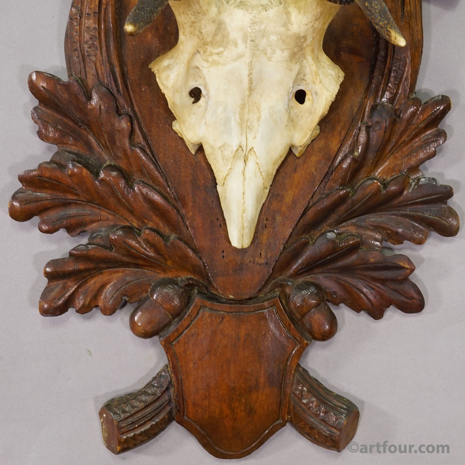 Antique Black Forest Red Deer Trophy on Carved Plaque - Germany 1930s