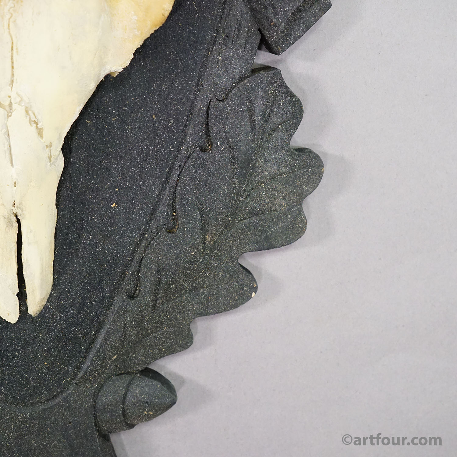 Antique Black Forest Red Deer Trophy on Carved Plaque - Germany 1930s