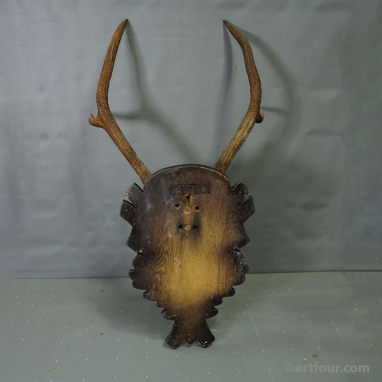 Antique Black Forest Red Deer Trophy on Carved Plaque - Germany 1930s