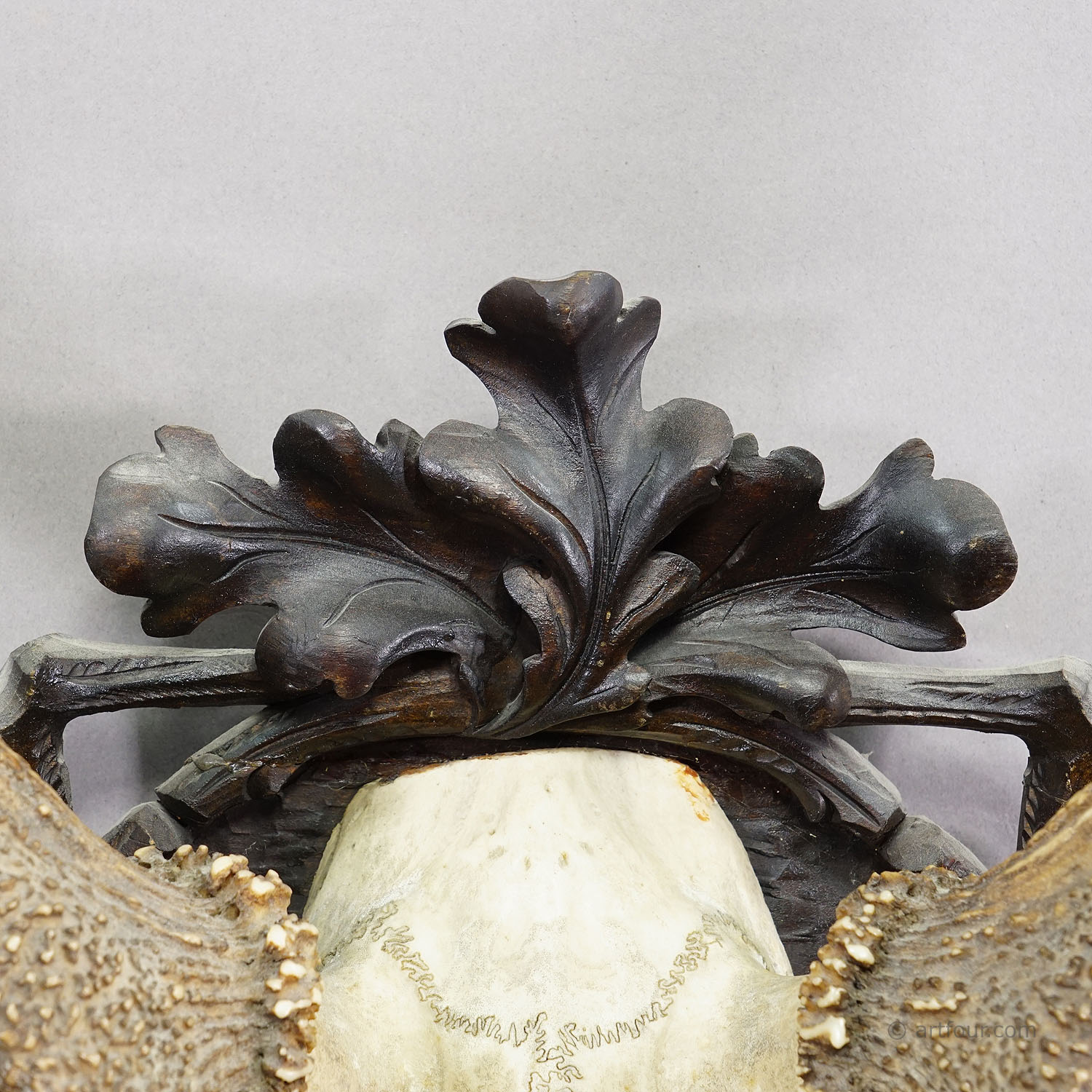 Big Black Forest 12 Pointer Red Deer Trophy on Carved Plaque - Germany 1930