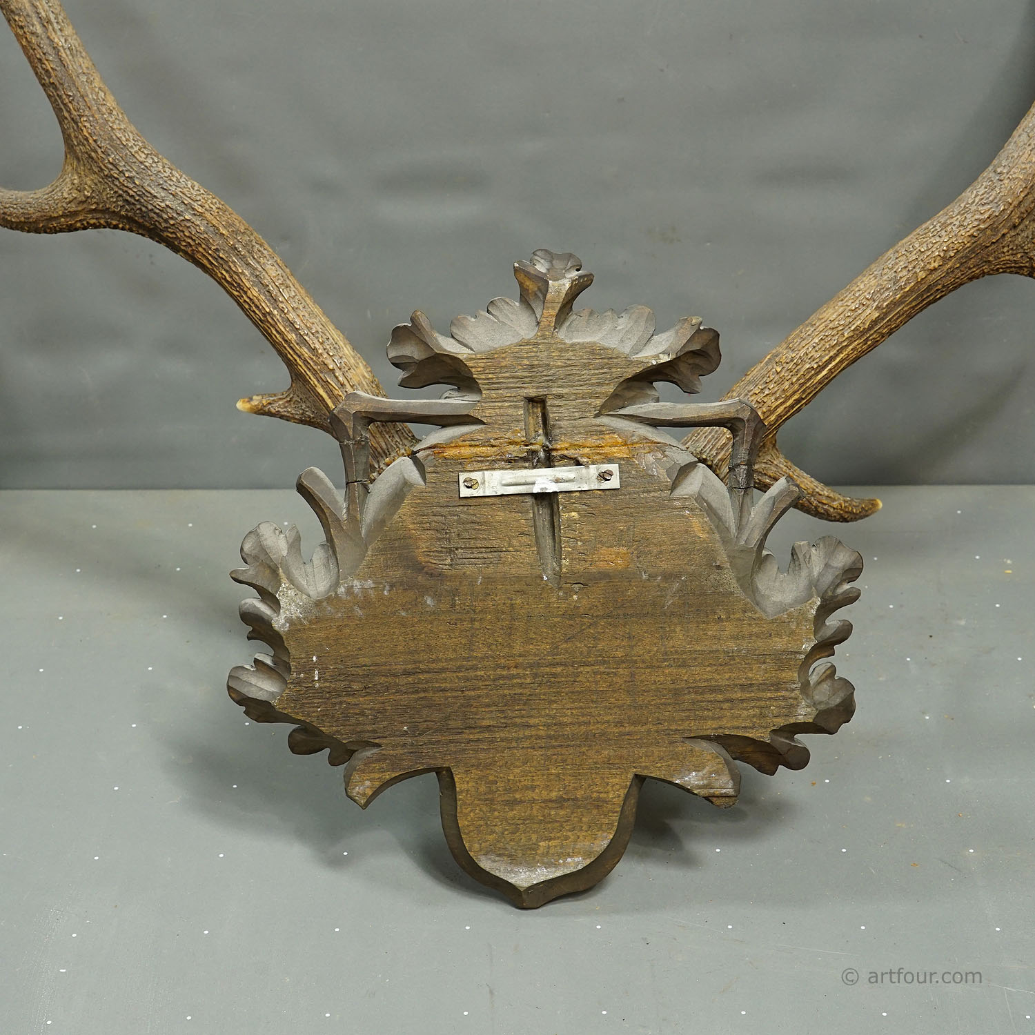 Big Black Forest 12 Pointer Red Deer Trophy on Carved Plaque - Germany 1930