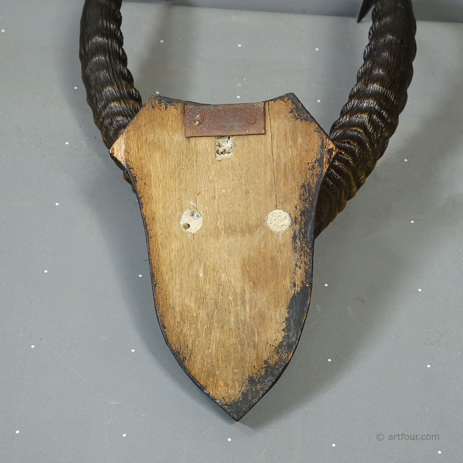 Antique Springbok Trophy on Wooden Plaque, ca. 1930s