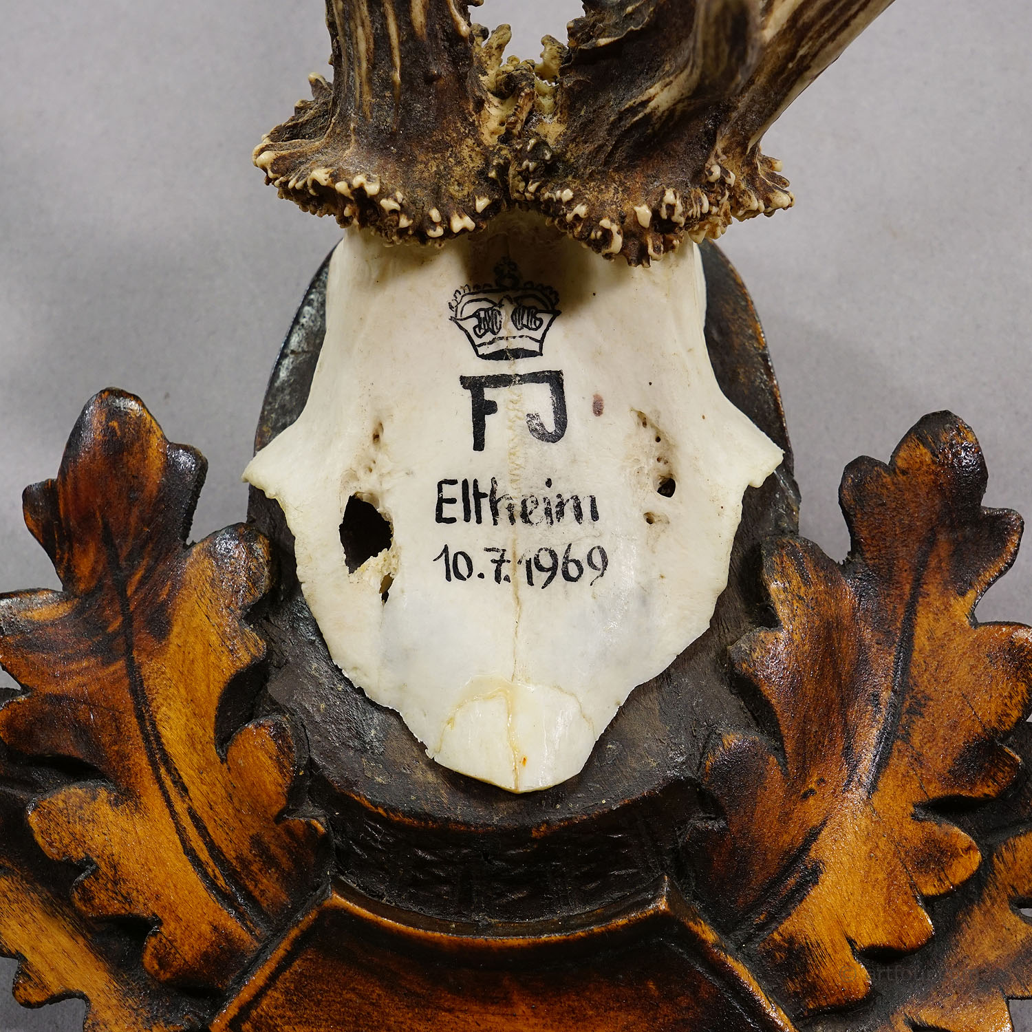 Red Deer Trophy by Franz Joseph, Prince of Thurn and Taxis, 1969