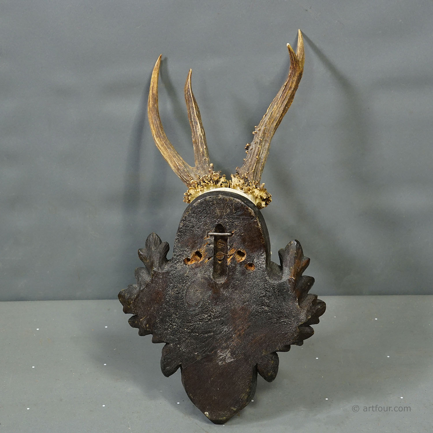 Red Deer Trophy by Franz Joseph, Prince of Thurn and Taxis, 1969