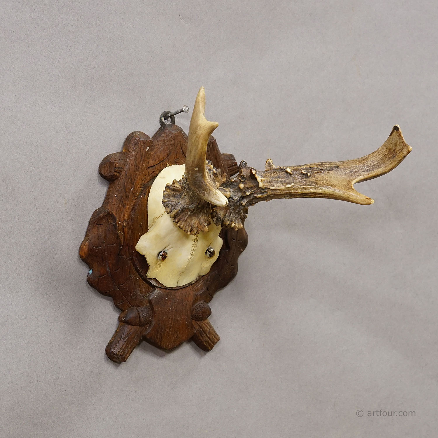 Antique Black Forest Red Deer Trophy on Carved Plaque, Germany 1938