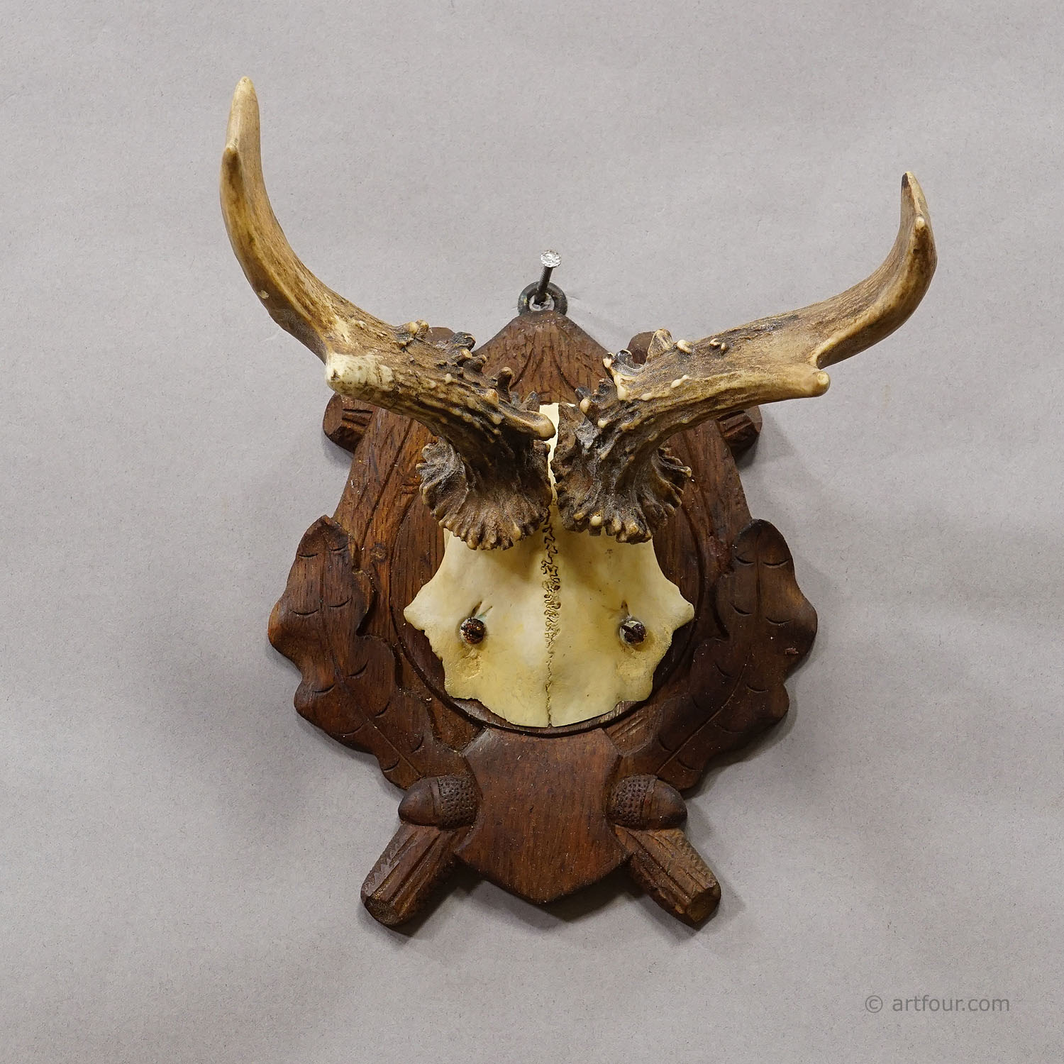 Antique Black Forest Red Deer Trophy on Carved Plaque, Germany 1938