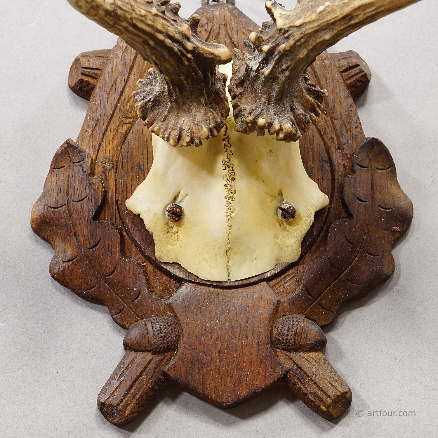 Antique Black Forest Red Deer Trophy on Carved Plaque, Germany 1938