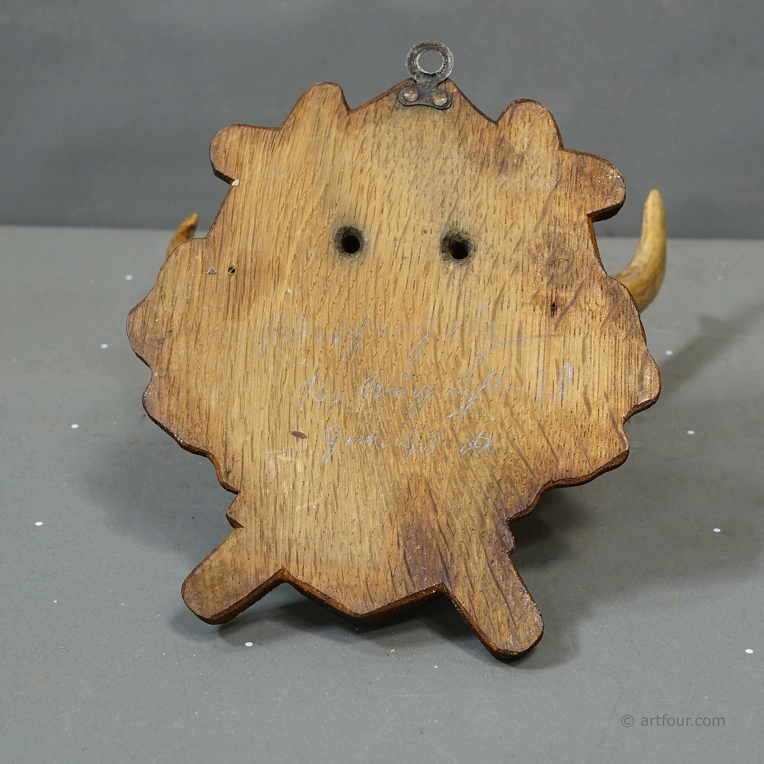 Antique Black Forest Red Deer Trophy on Carved Plaque, Germany 1938